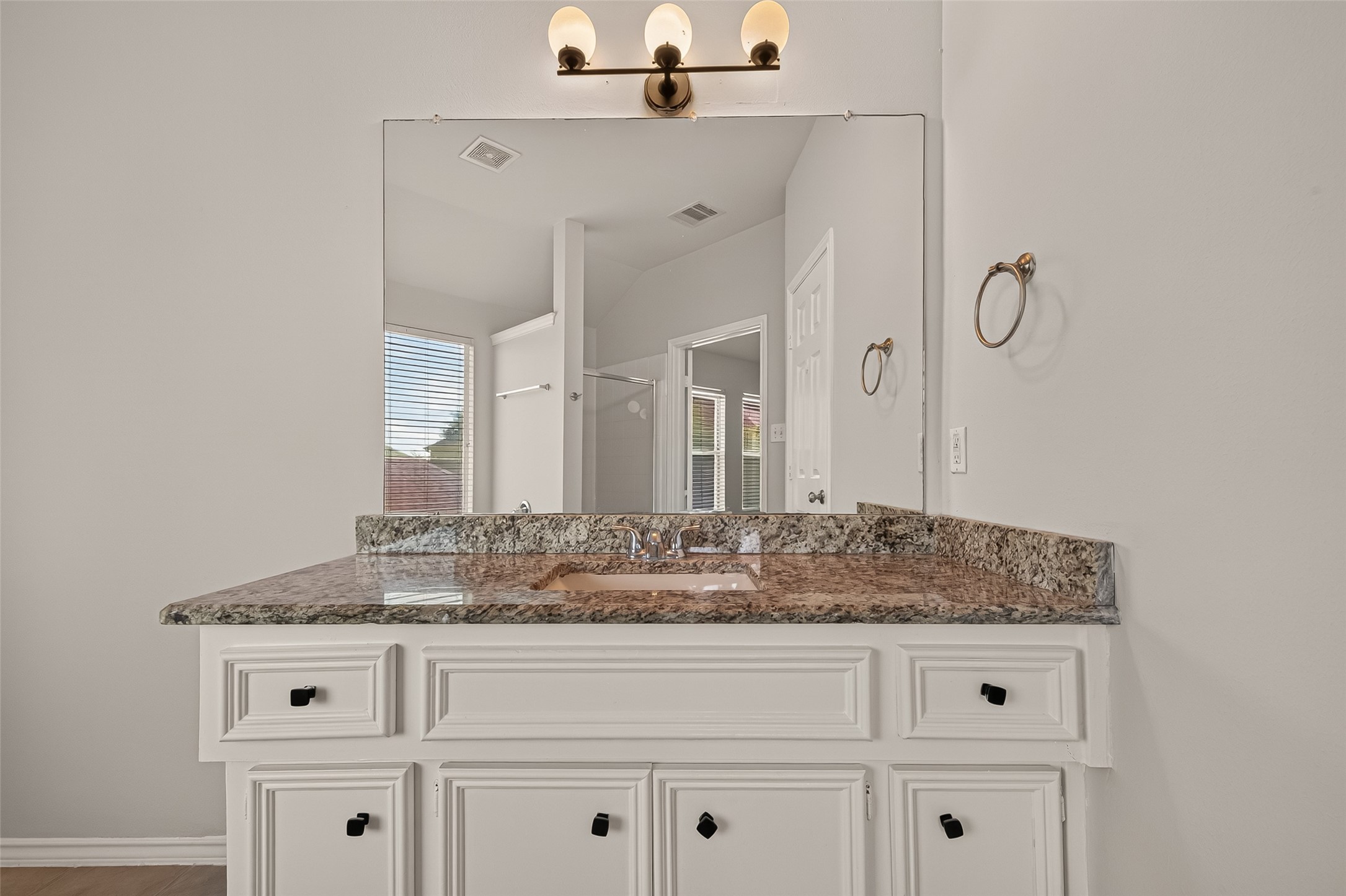 12819 Wisteria Park Drive, Houston, TX 77072