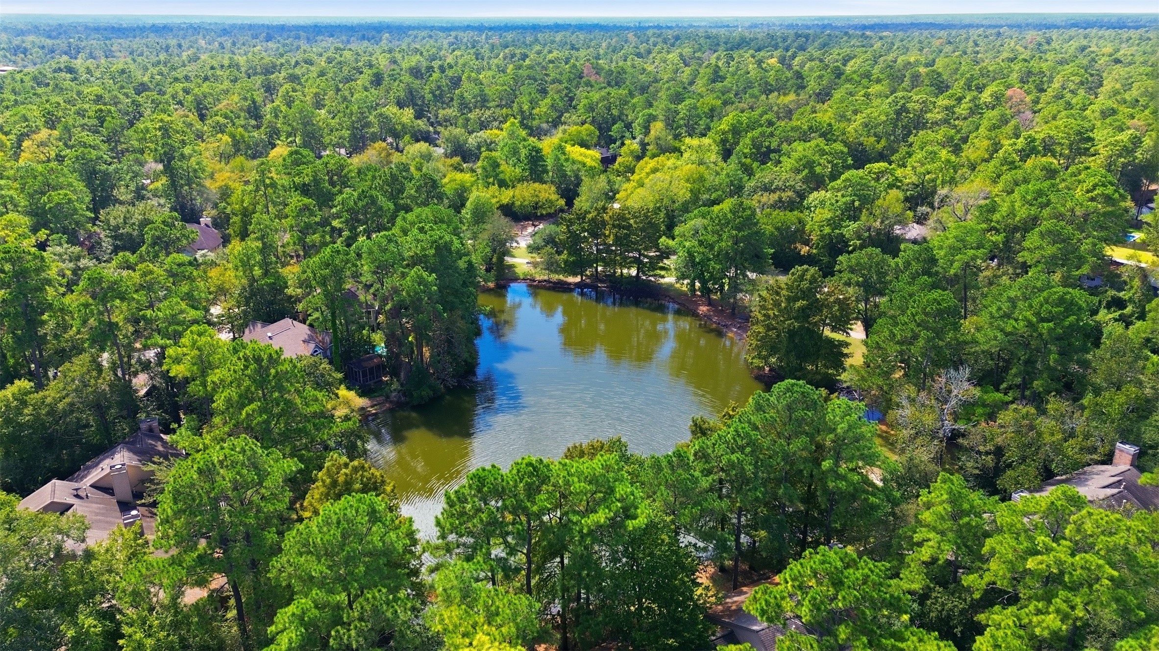Forest lake park