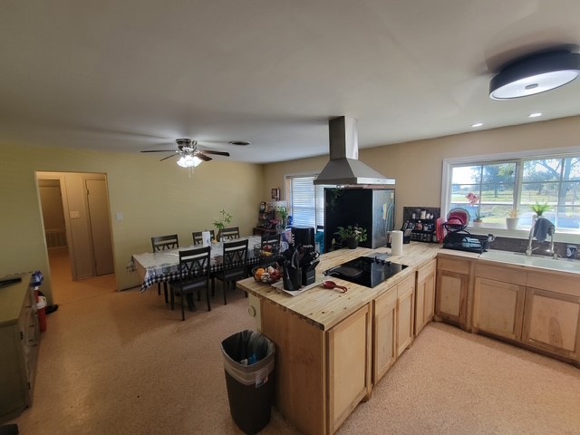 8002 County Road 172, Alvin, TX 77511