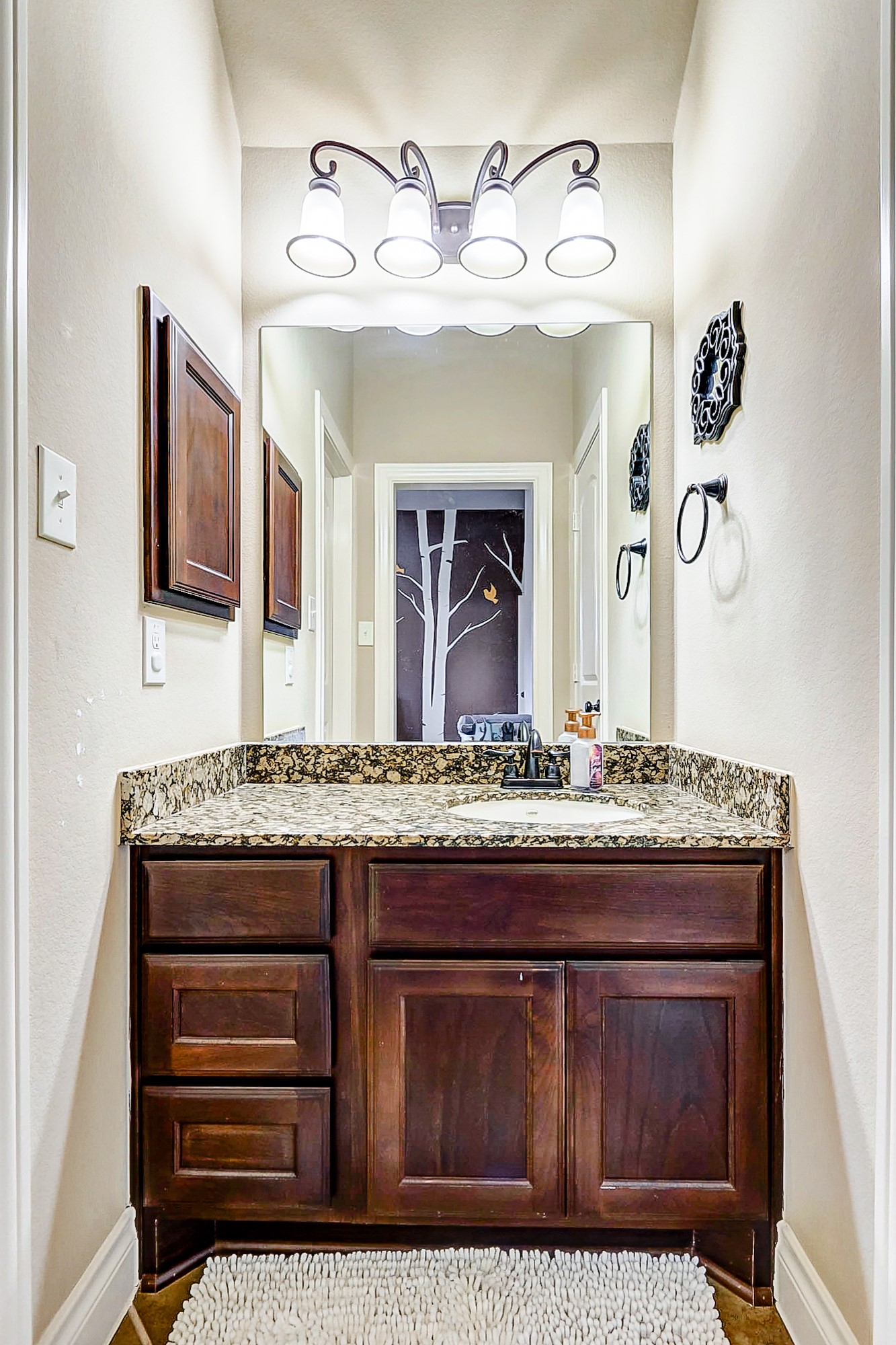 16214 Canova Hill Lane, Houston, TX 77044