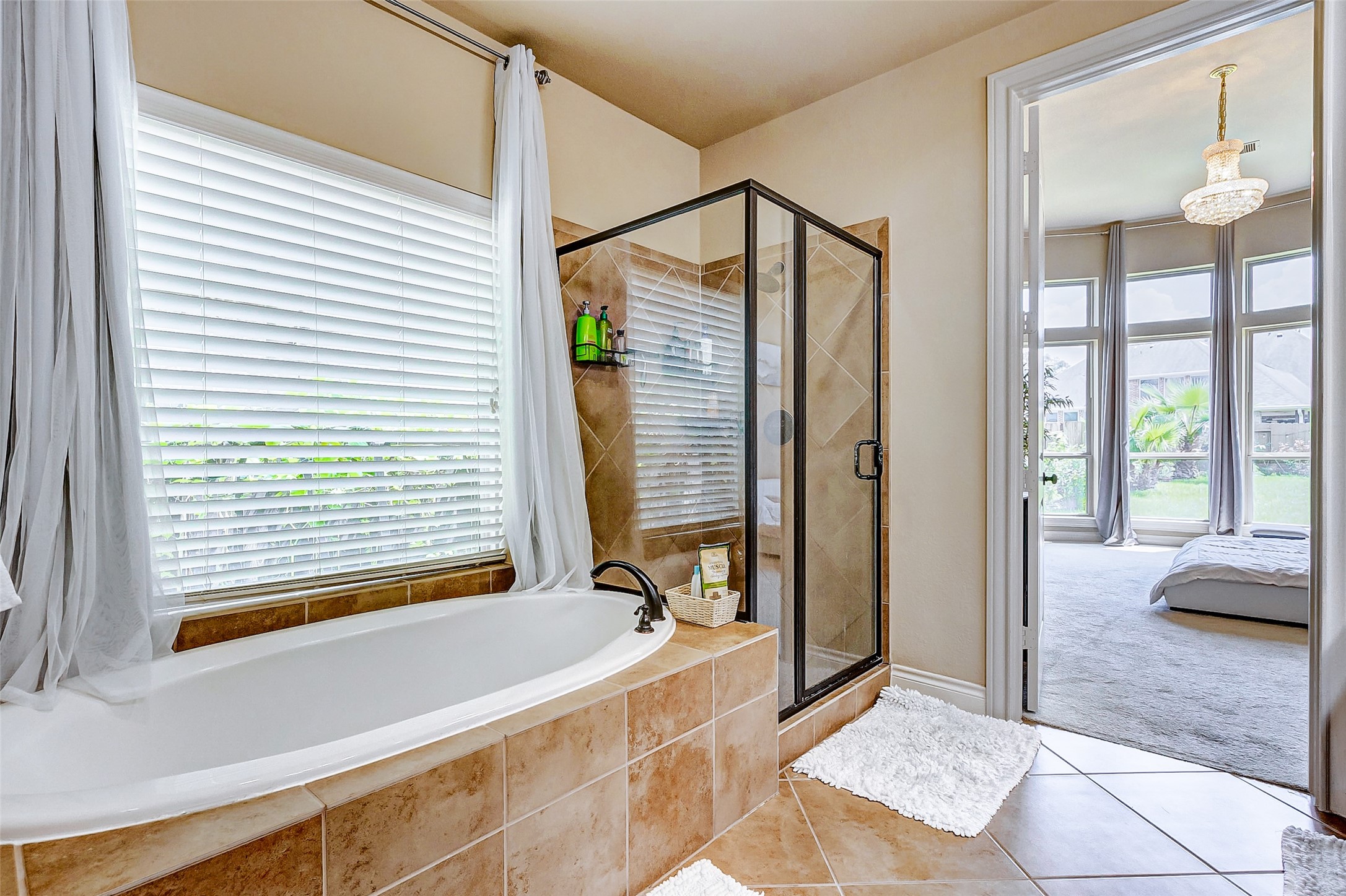 16214 Canova Hill Lane, Houston, TX 77044