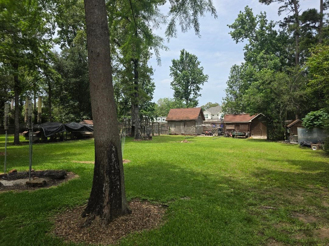 Workshops for extra projects