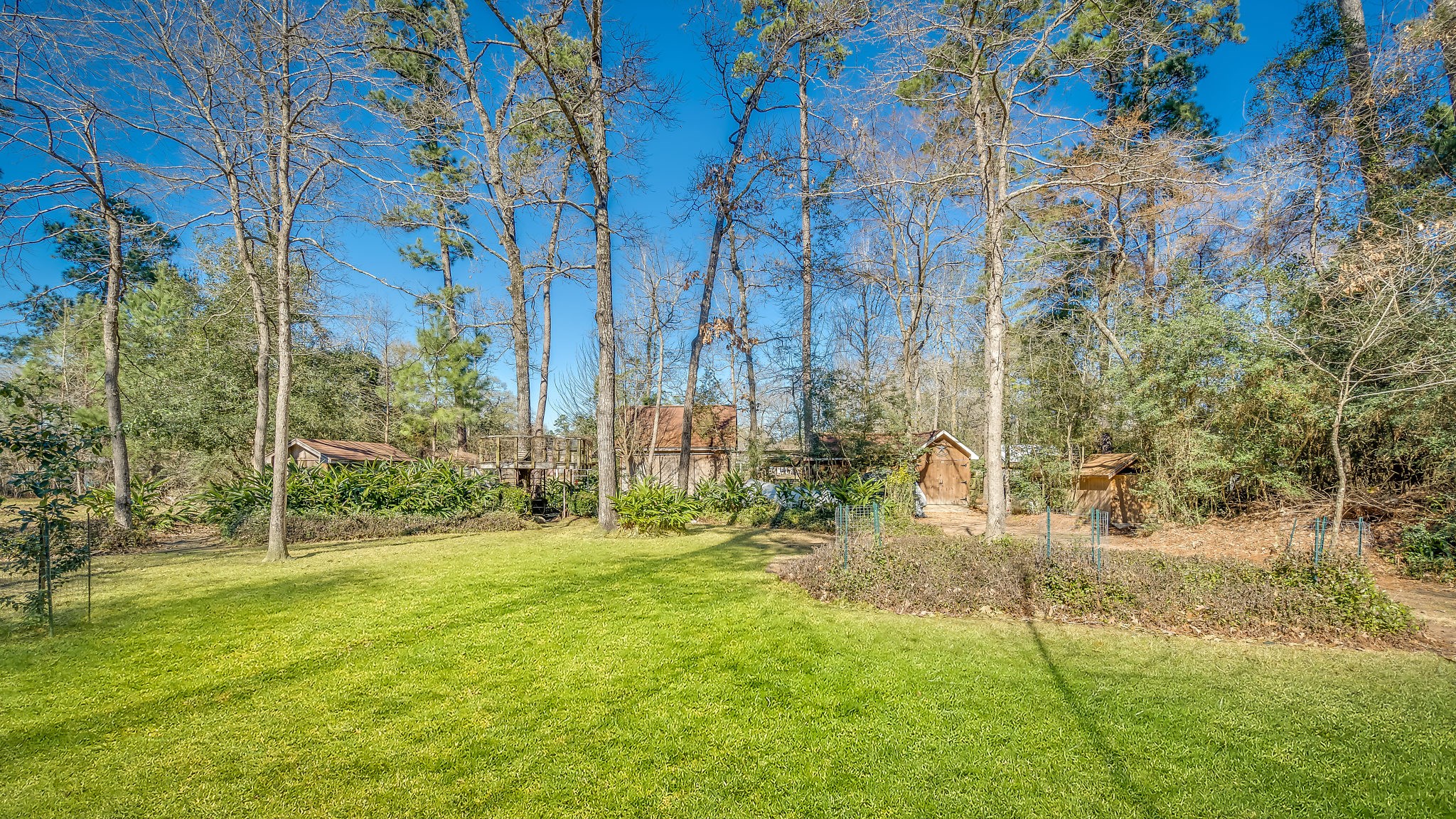 Discover a serene backyard oasis with lush greenery, mature trees, and ample open space perfect for relaxation and outdoor activities