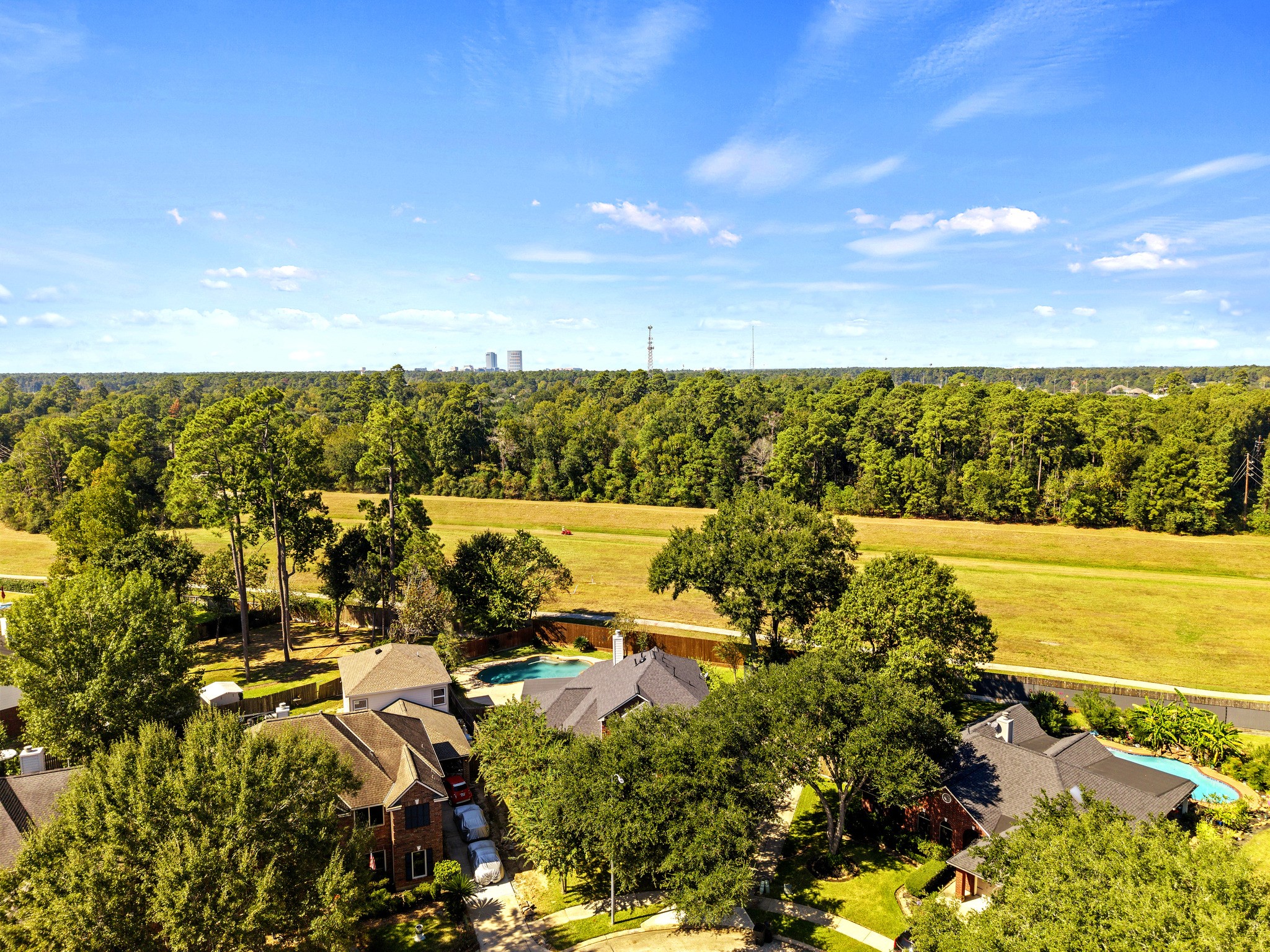 Aerial view of the tree-lined neighborhood.