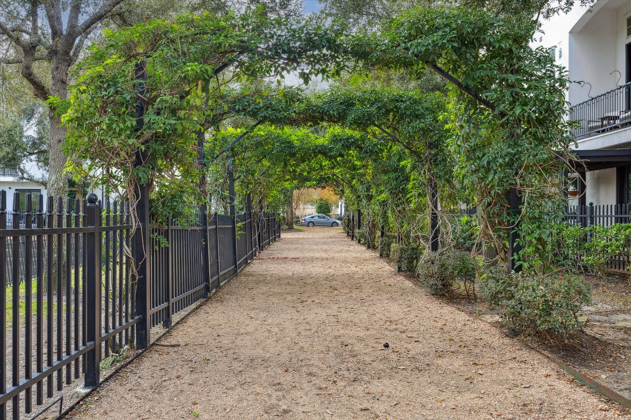 Tree-lined pedestrian walkway framed by vine-covered pergolas and black iron fencing, creating a shaded, park-like approach through the community. A rare, peaceful feature that adds charm, privacy, and a true neighborhood feel.