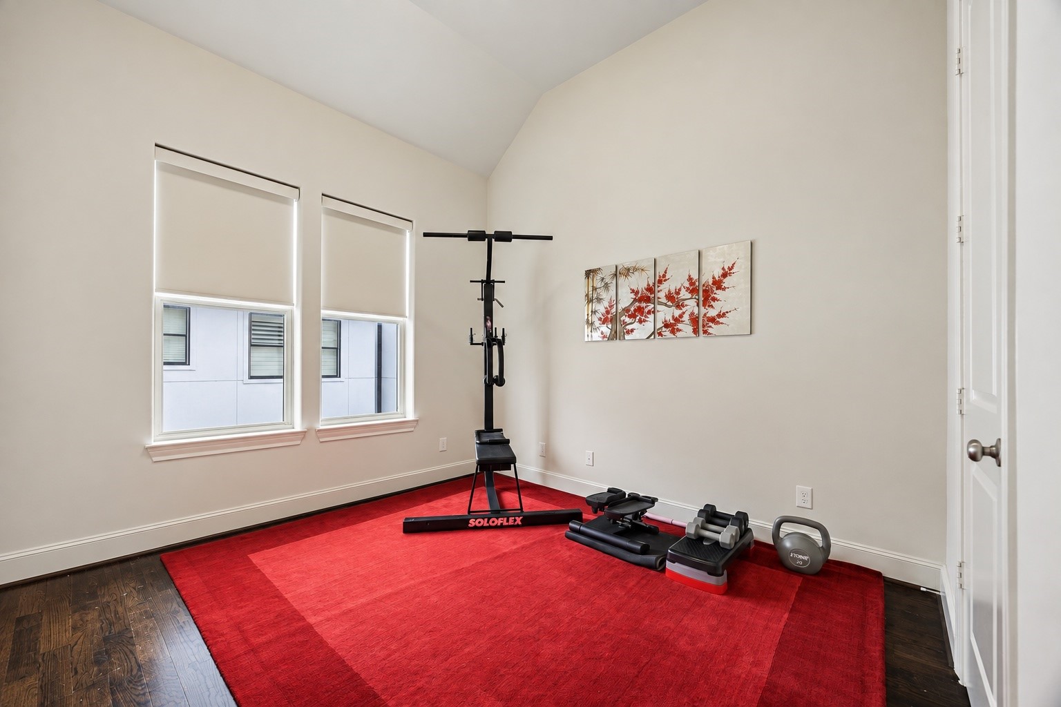 Vaulted ceilings and natural light give this secondary bedroom an airy sense of space, with rich hardwood floors adding warmth throughout. Its generous footprint offers plenty of flexibility for a bedroom, fitness space, or combination of both.