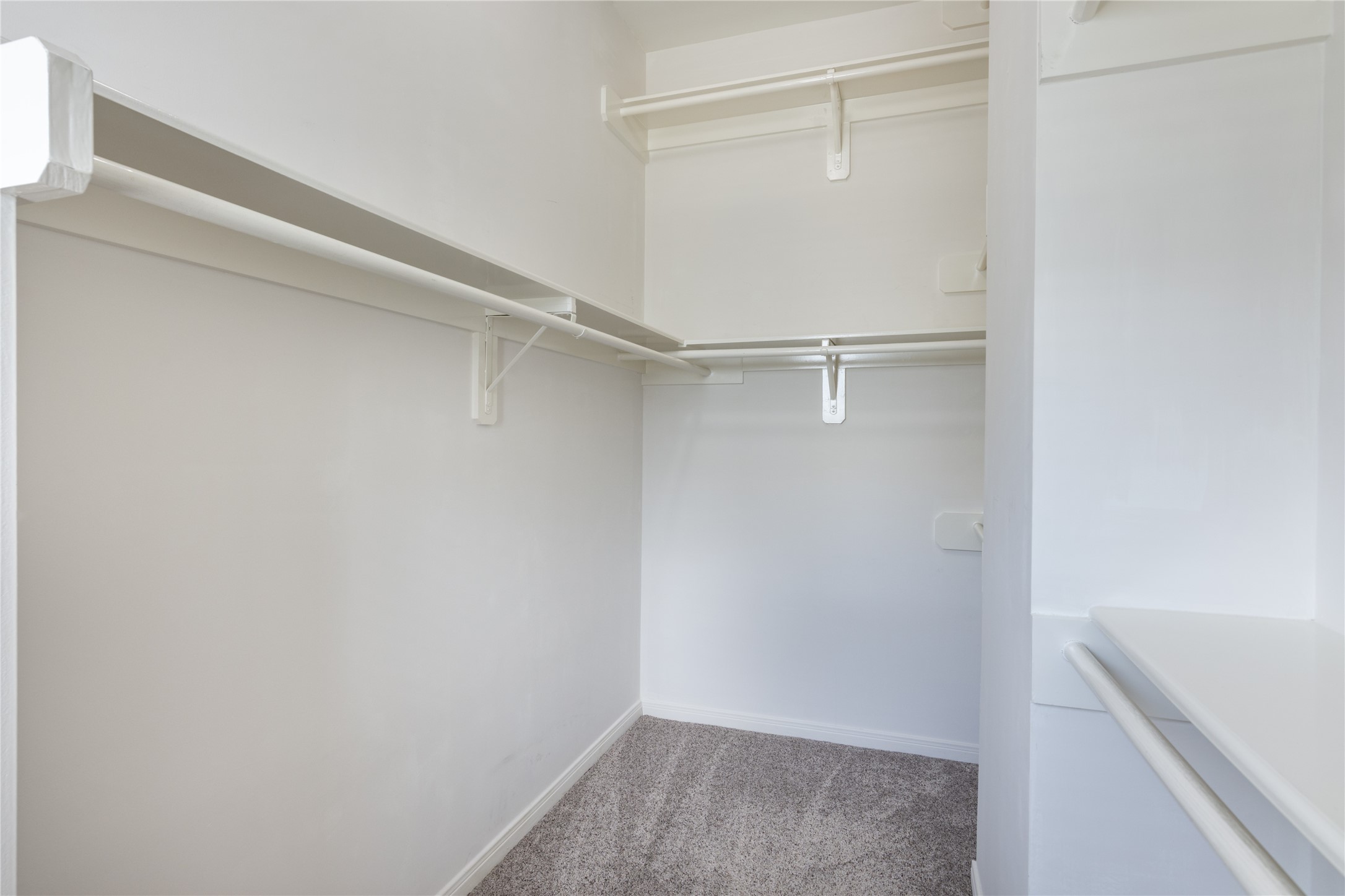 Primary bedroom with large walk in closet