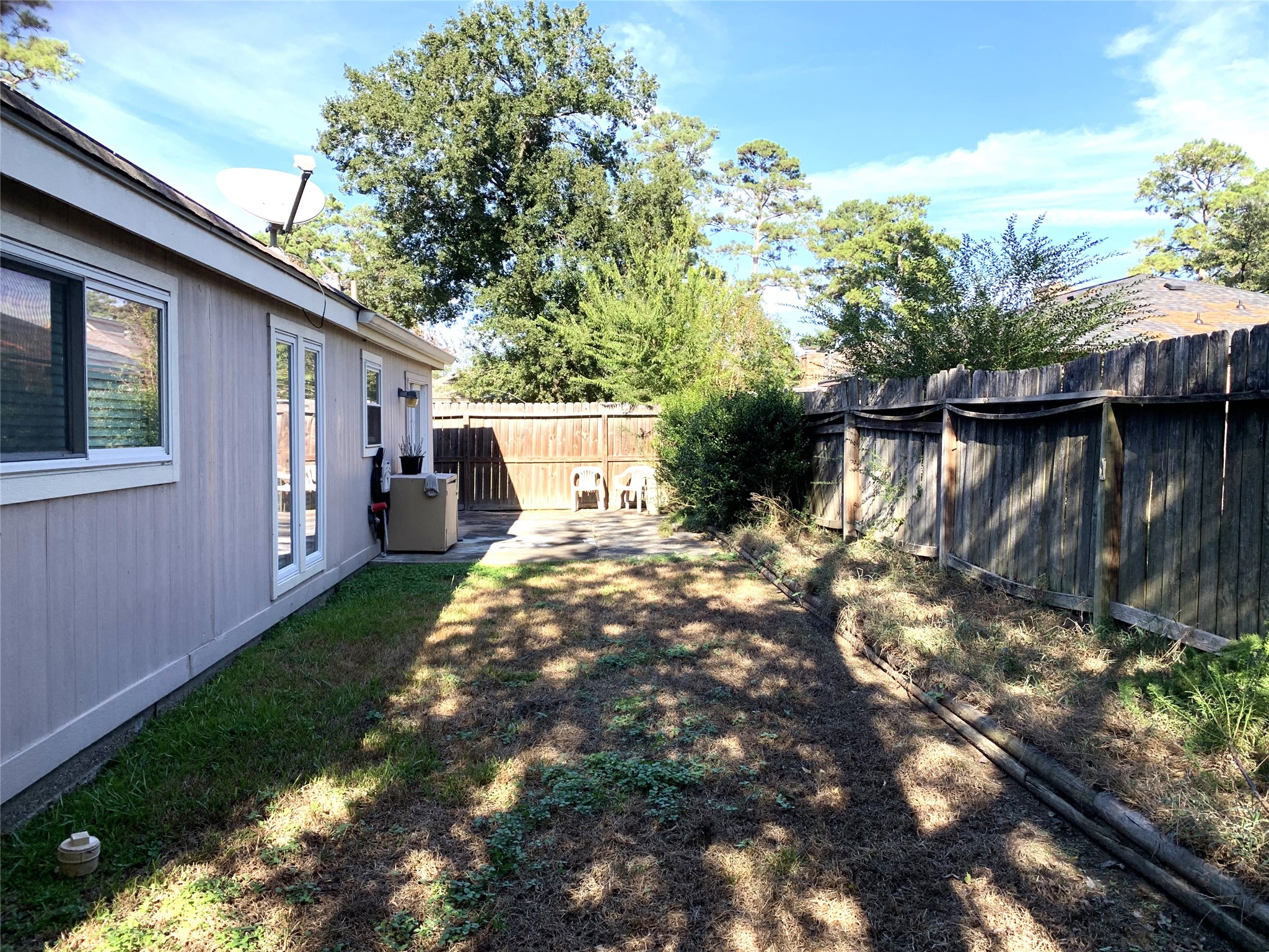 back yard