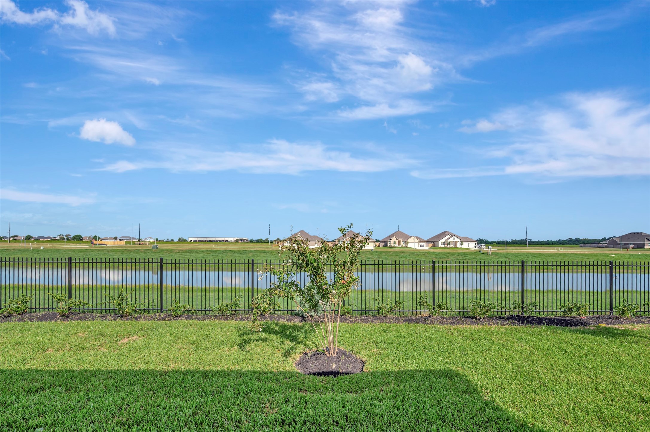 Serene backyard