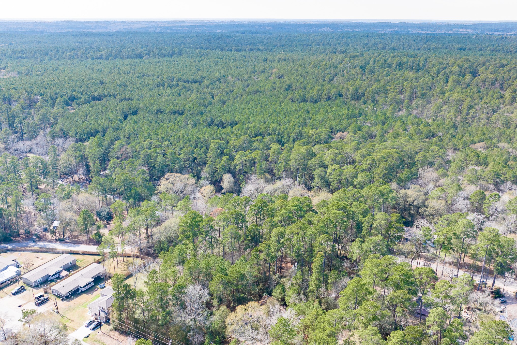 0 Forest Drive, Montgomery, TX 77356