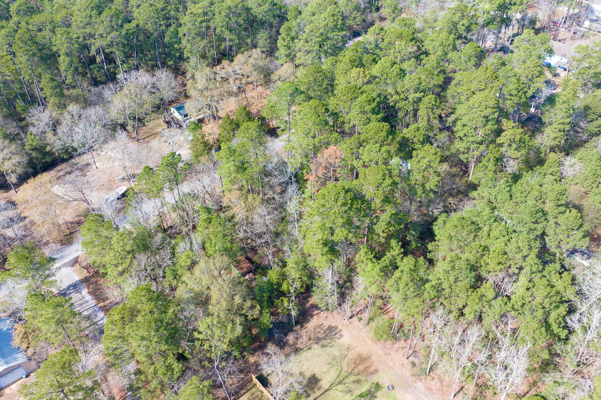 0 Forest Drive, Montgomery, TX 77356