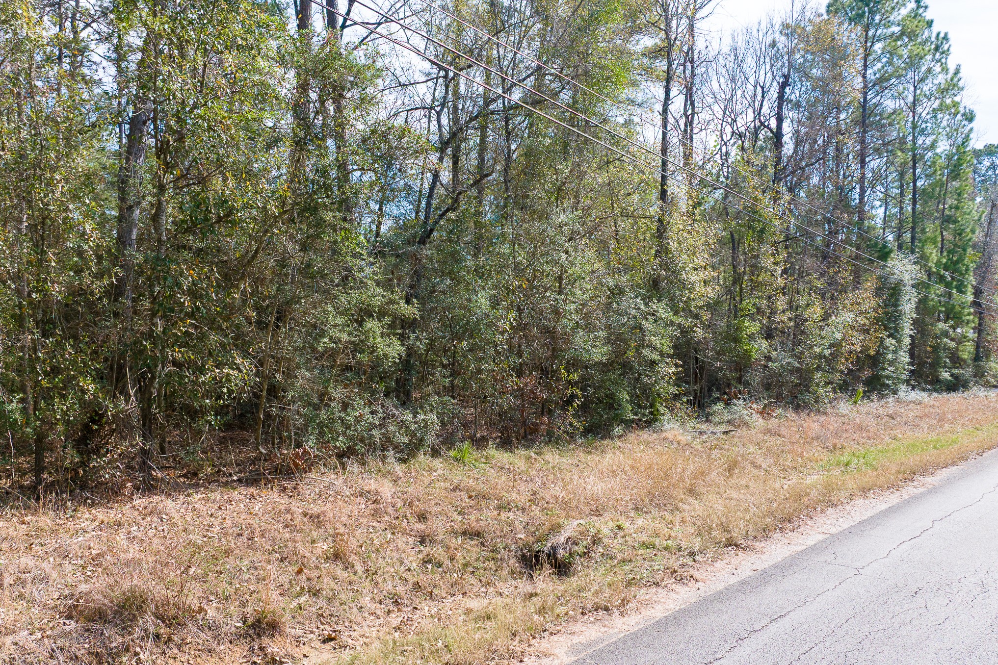 0 Forest Drive, Montgomery, TX 77356