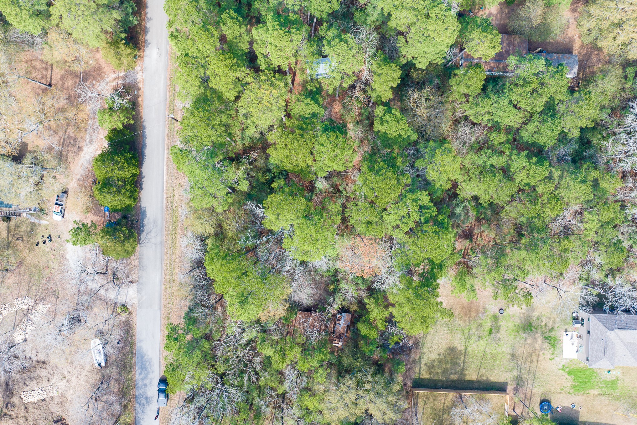 0 Forest Drive, Montgomery, TX 77356