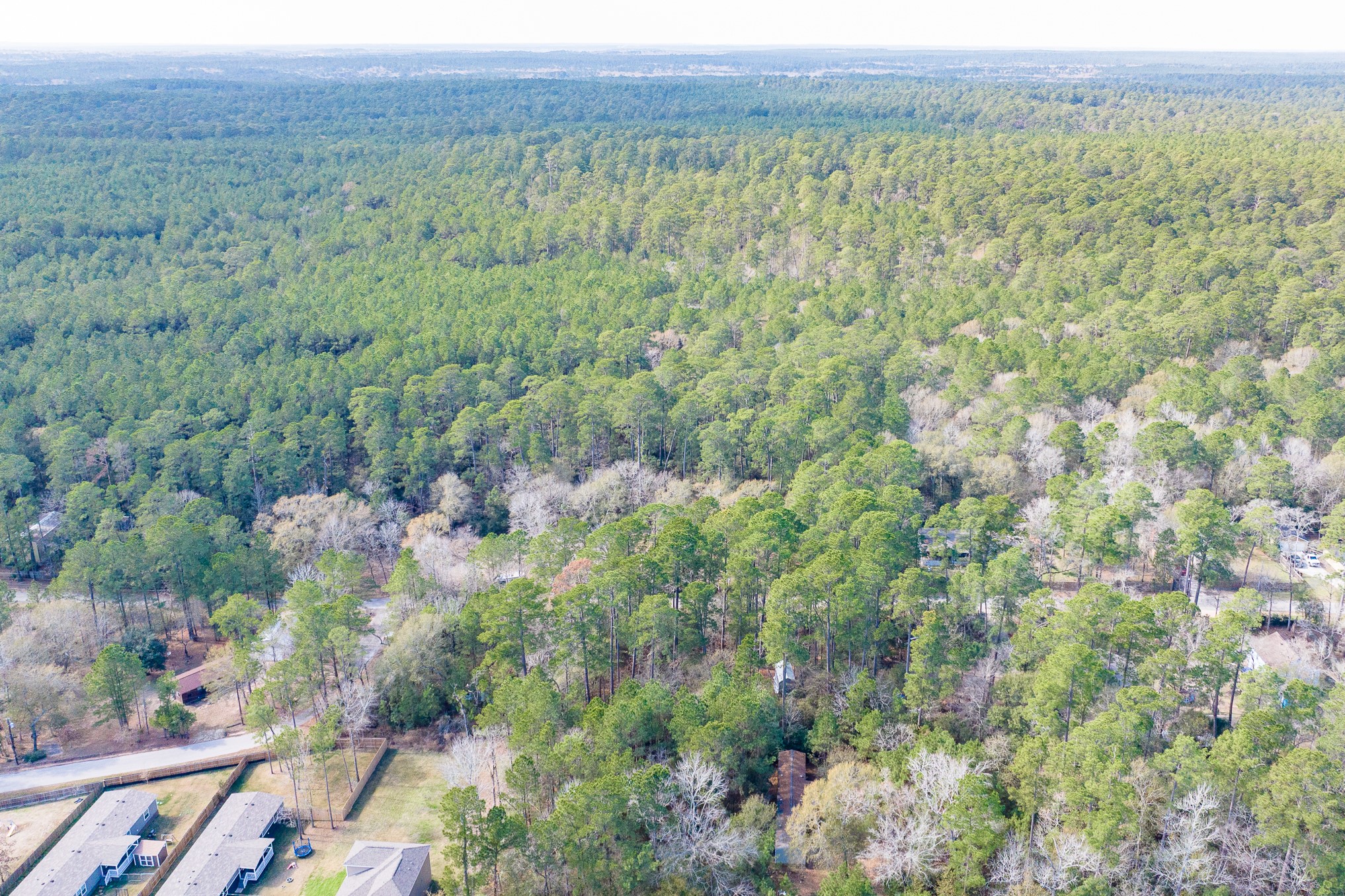 0 Forest Drive, Montgomery, TX 77356