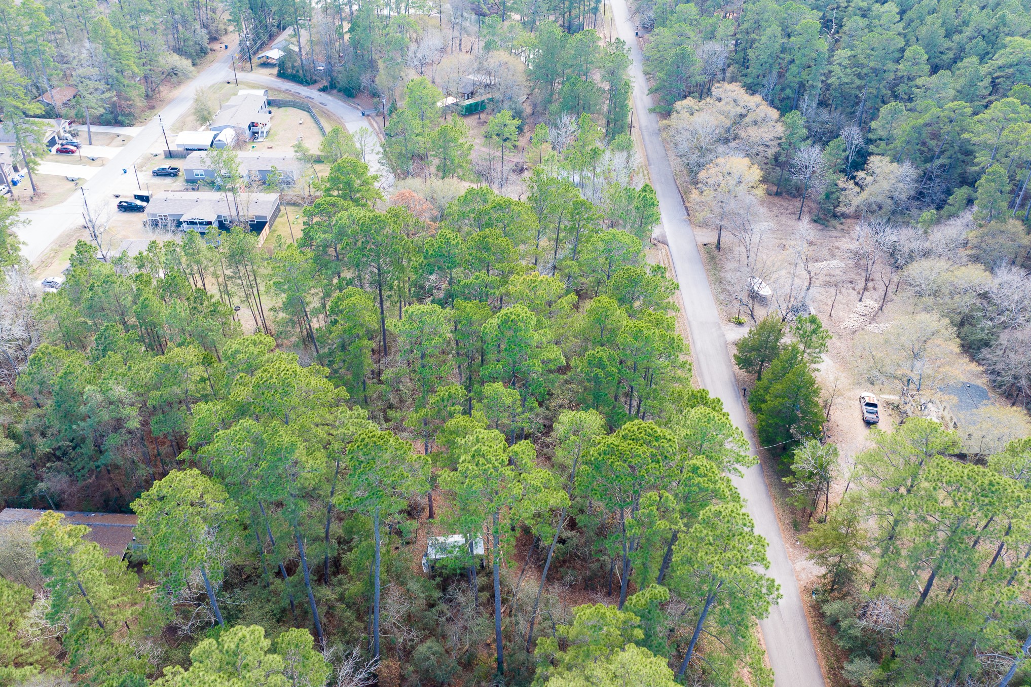 0 Forest Drive, Montgomery, TX 77356 0 Forest Drive, Montgomery, TX 77356