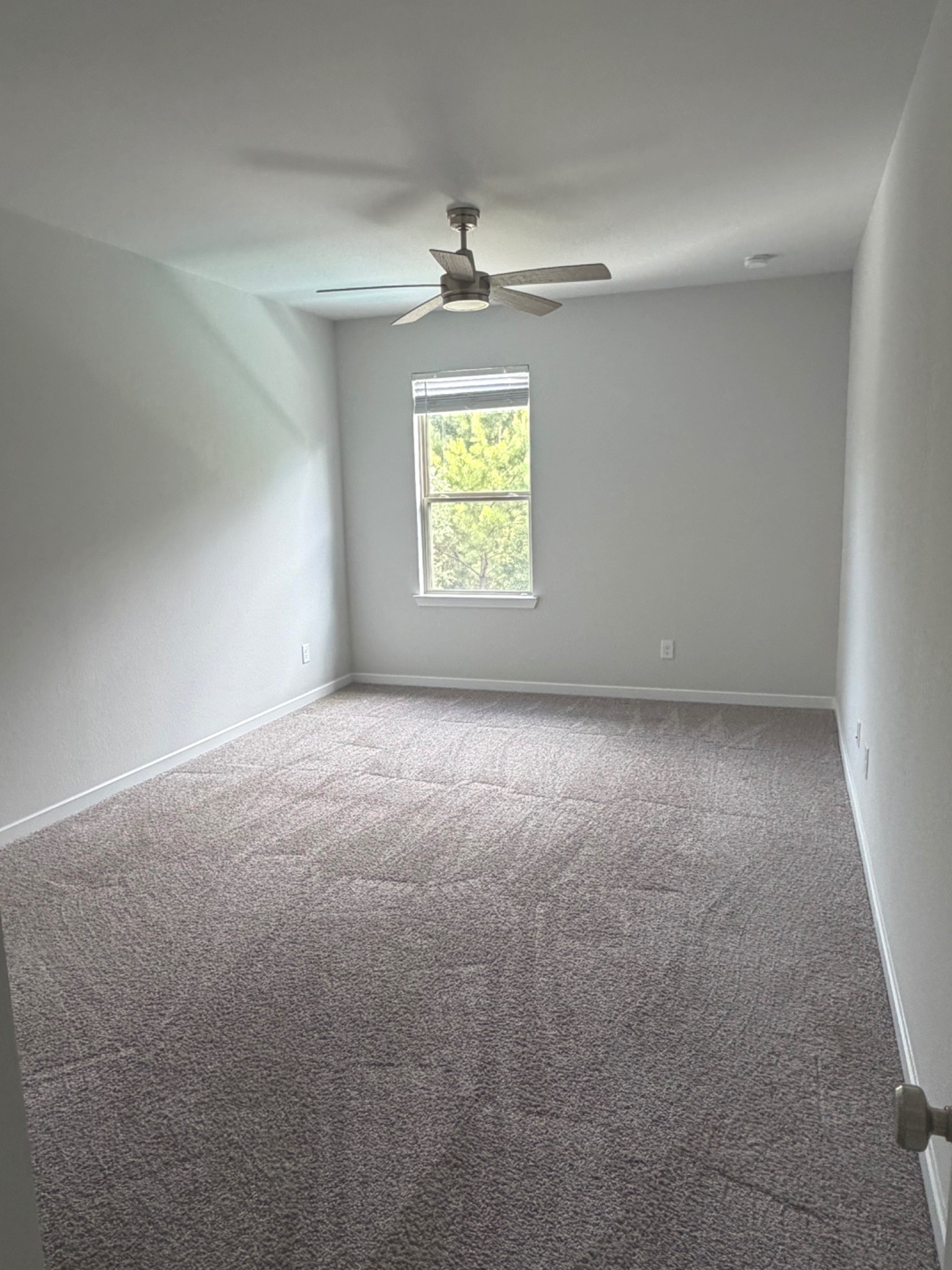 41 Snowdrop Lily Drive, Tomball, TX 77375