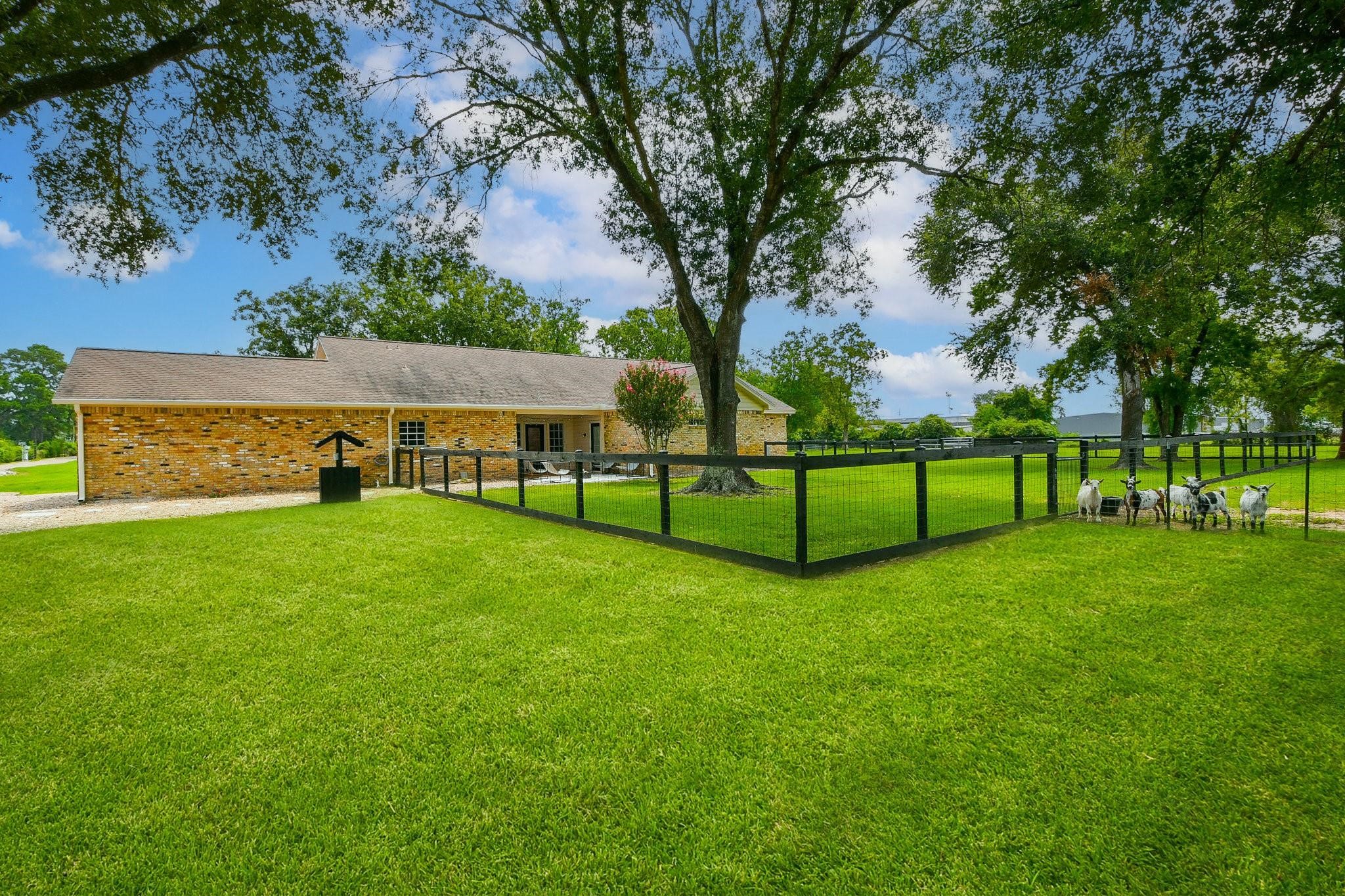 Large fully fenced in backyard in the primary house