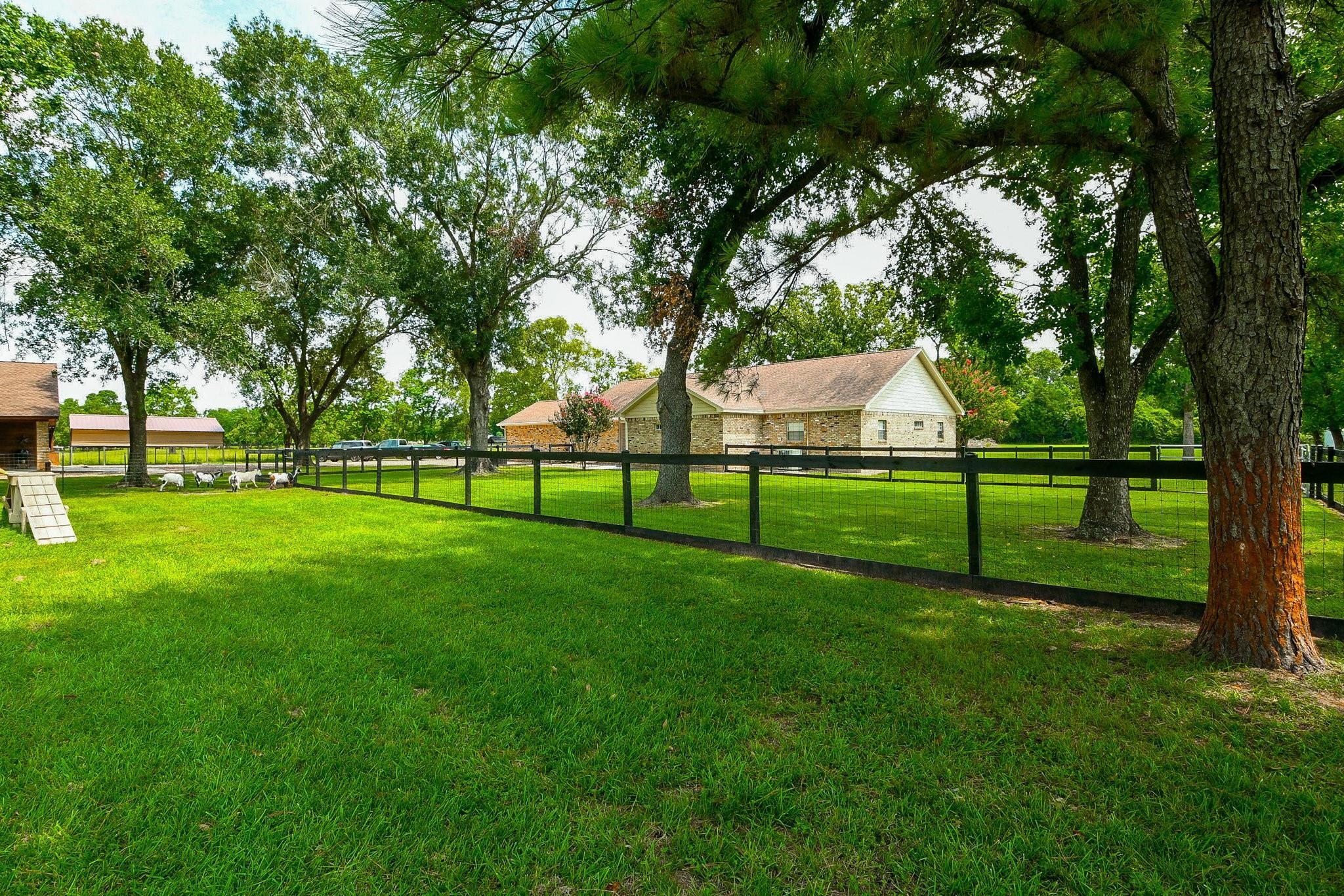 View from the goat pasture at the rear of the property