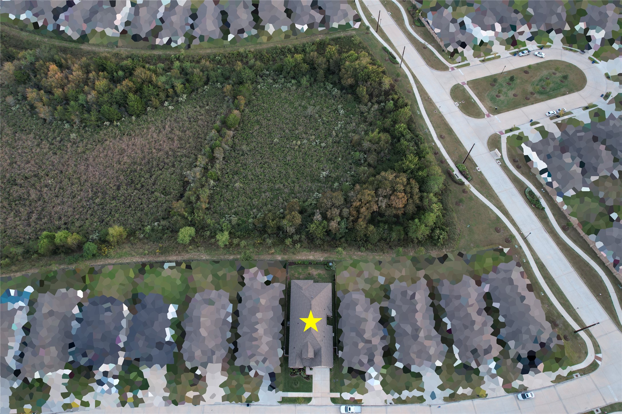 A view of the wooded backdrop from above