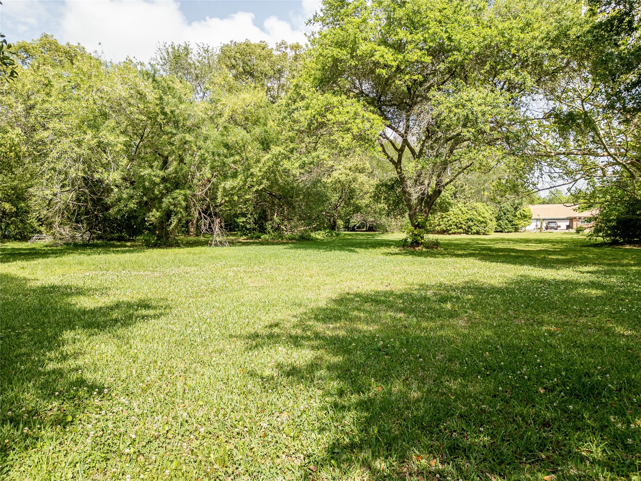 Discover your dream opportunity with this rare plot of land. Spacious, serene, and ready for your visiondon't miss out!