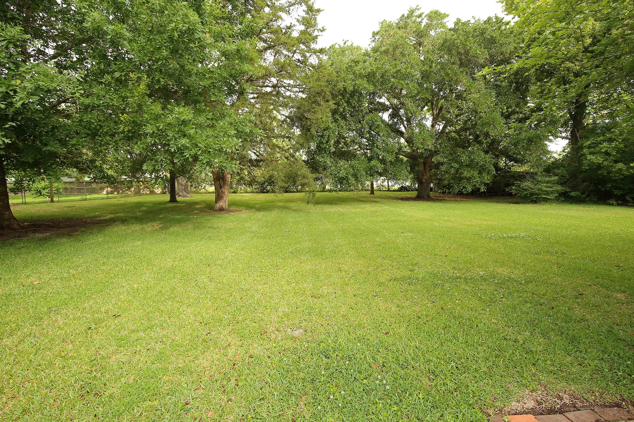 Expansive backyard with ample space for a pool and endless outdoor possibilities.