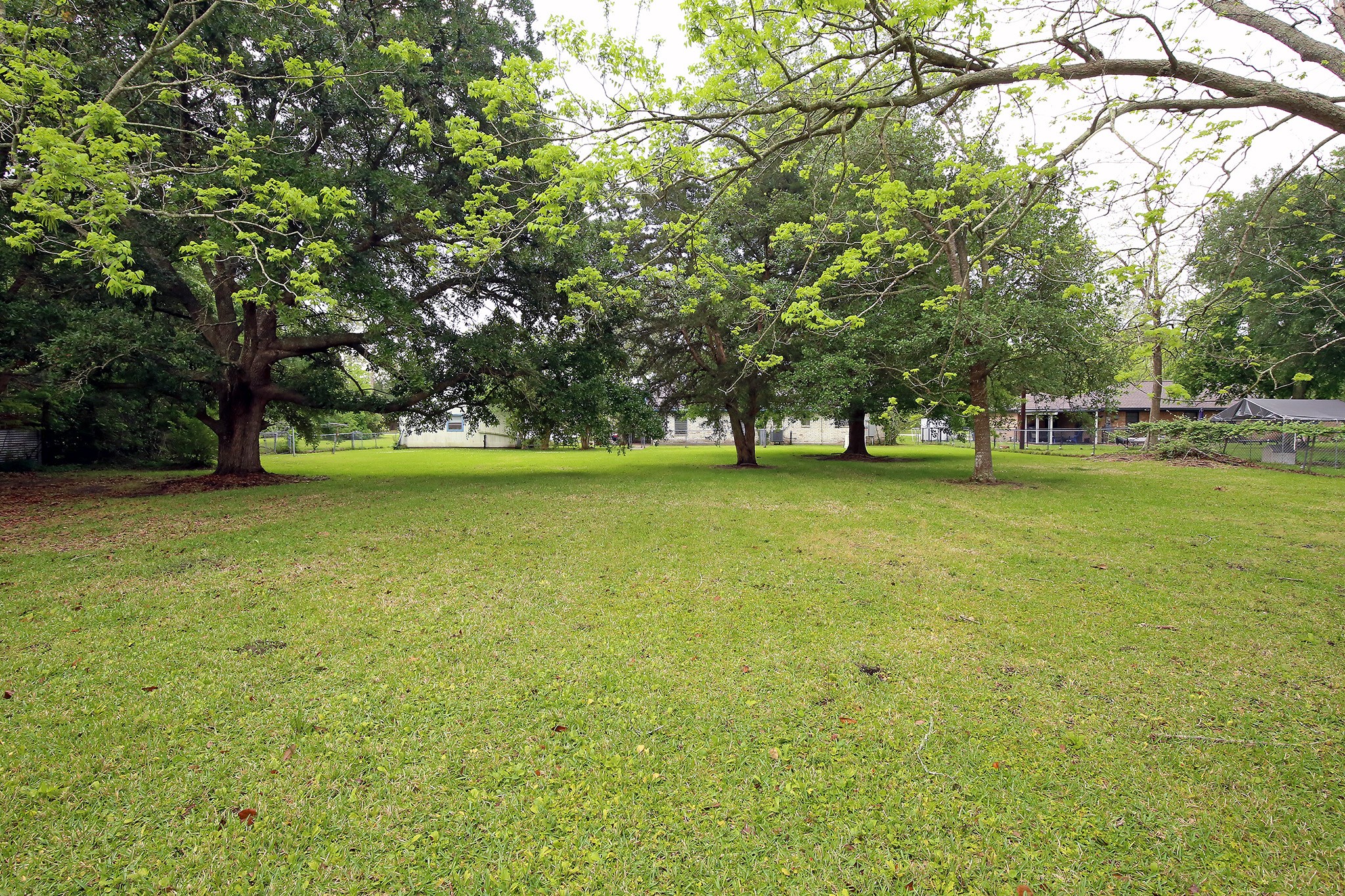 Serene backyard oasis with lush, mature trees.