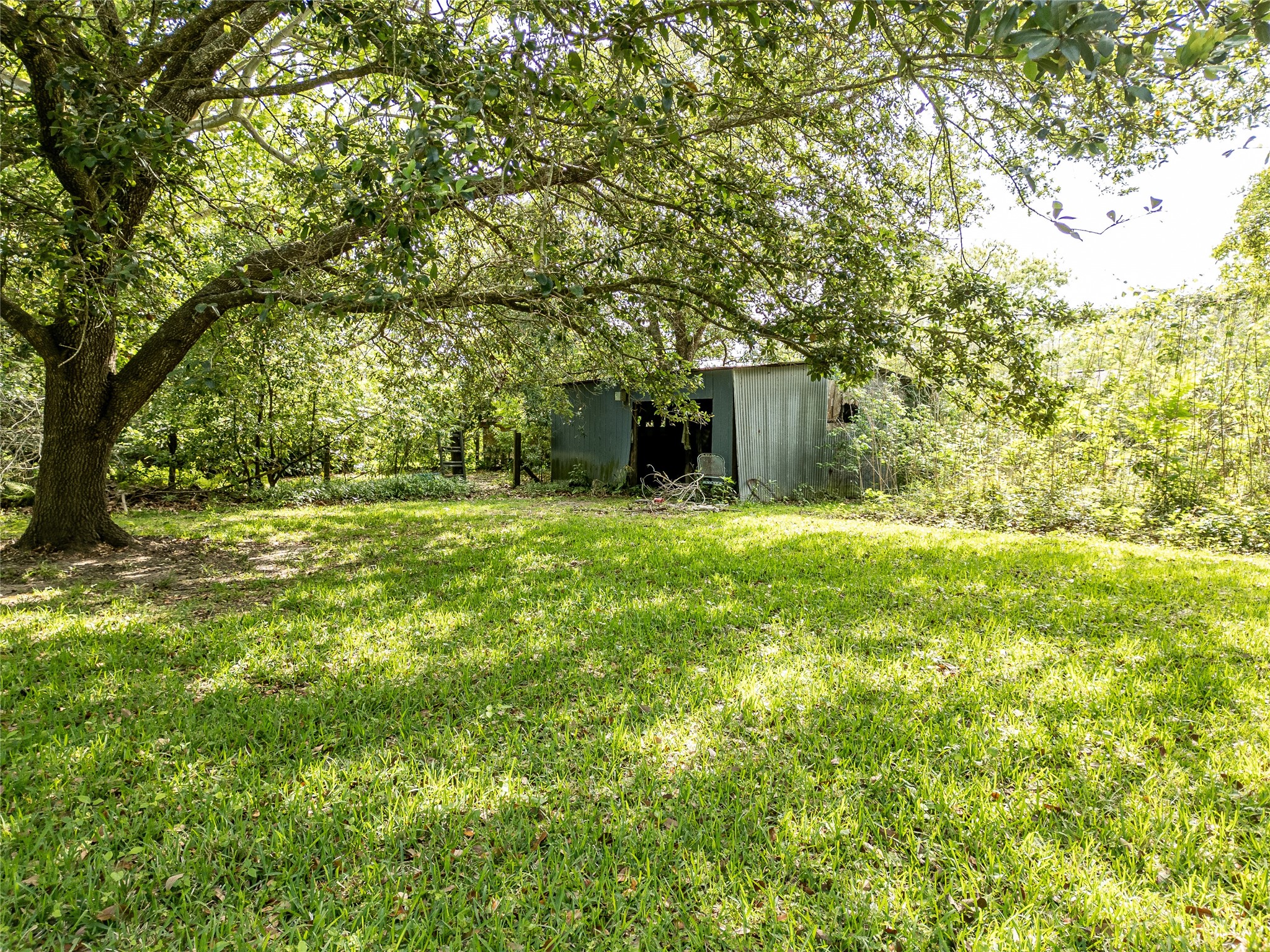 A horse barn nestled in a serene, shaded setting.