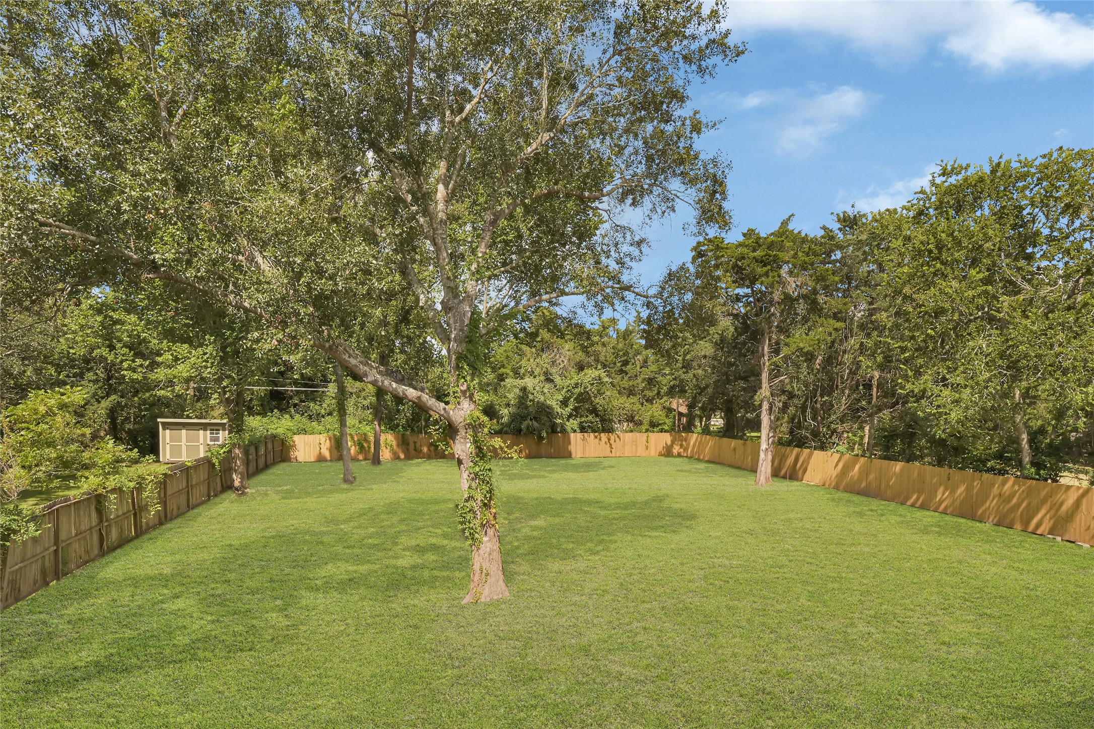 Backyard - Exterior