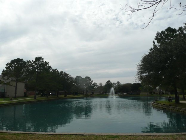1939 Misty Falls LN, Richmond, TX 77406