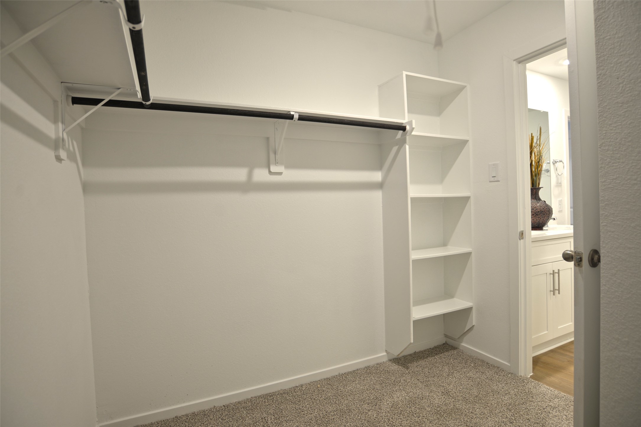 Primary Closet