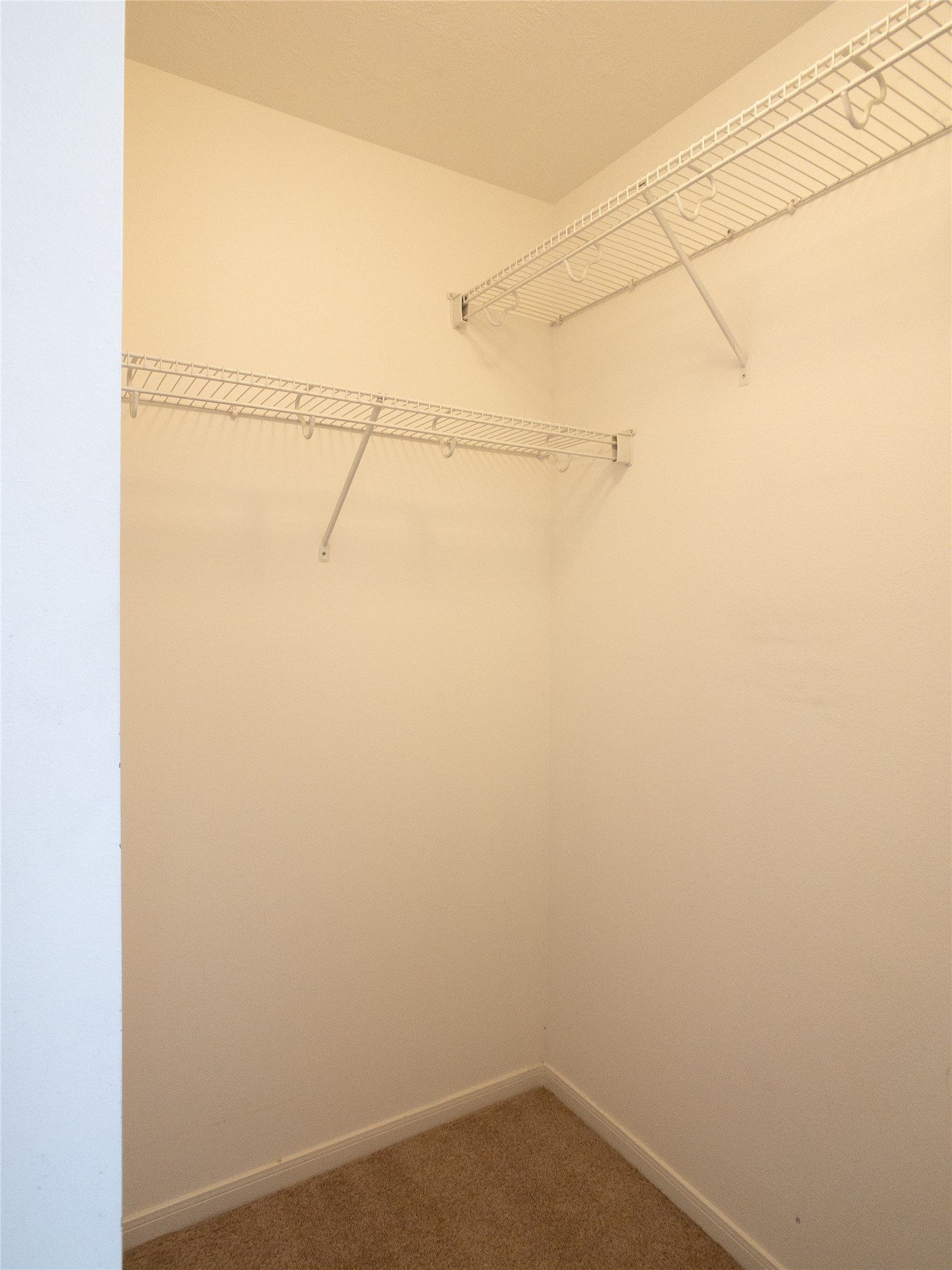 bedroom 3 walk-in closet
