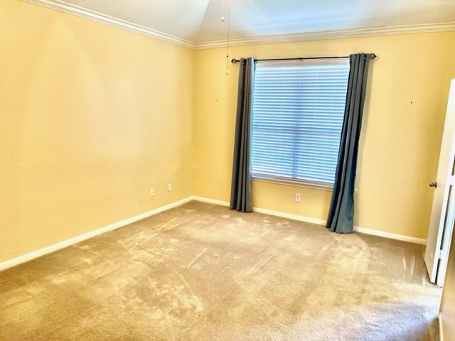 25114 Diamond Ranch Drive, Katy, TX 77494