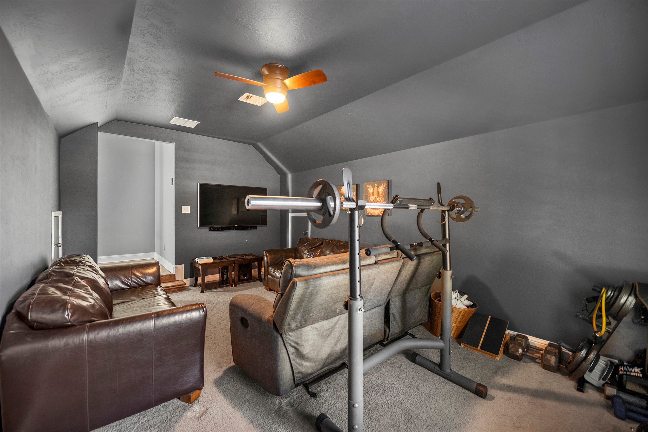 Media / excercise room