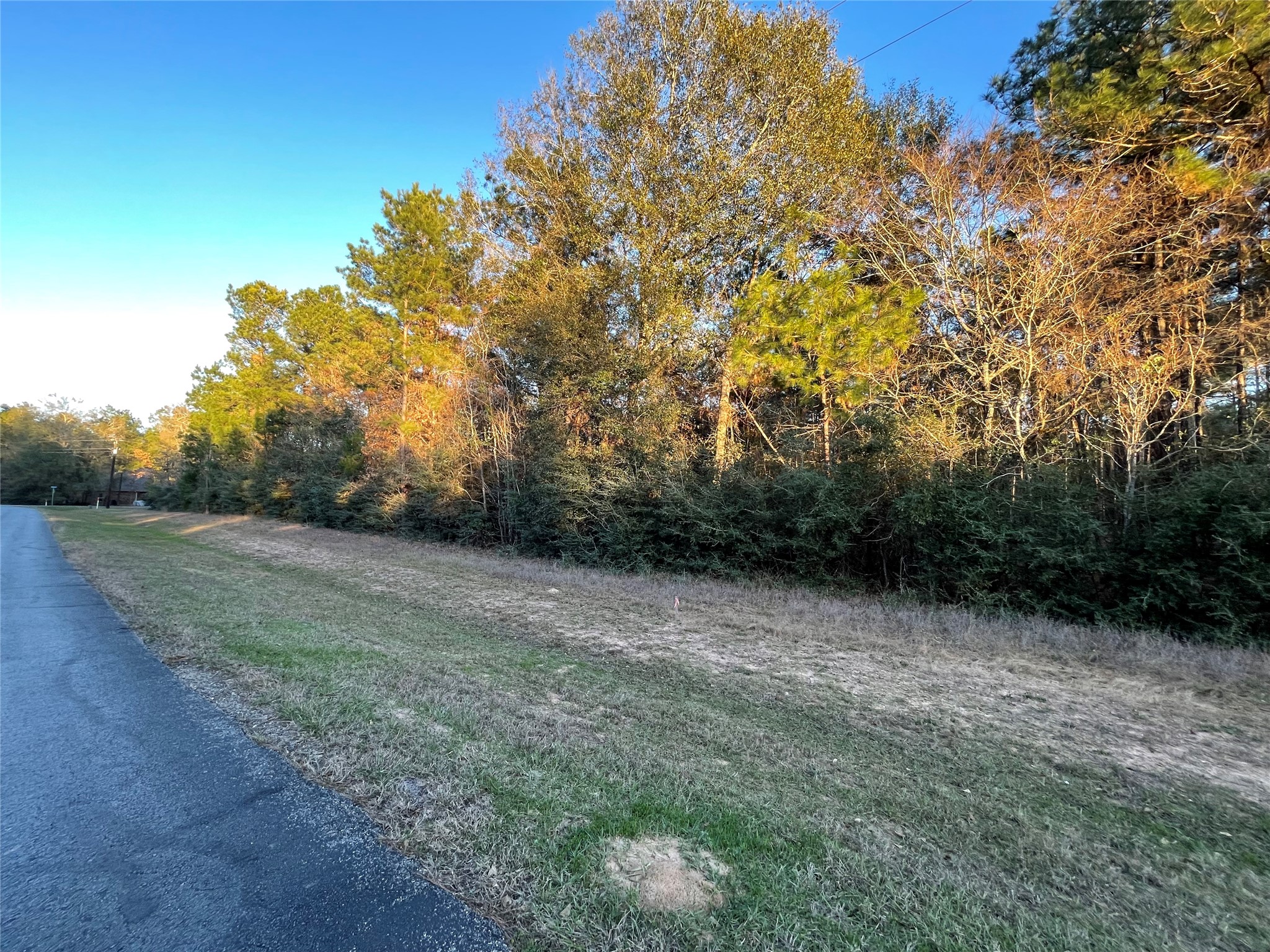 28921 Mustang Drive, Waller, TX 77484 28921 Mustang Drive, Waller, TX 77484