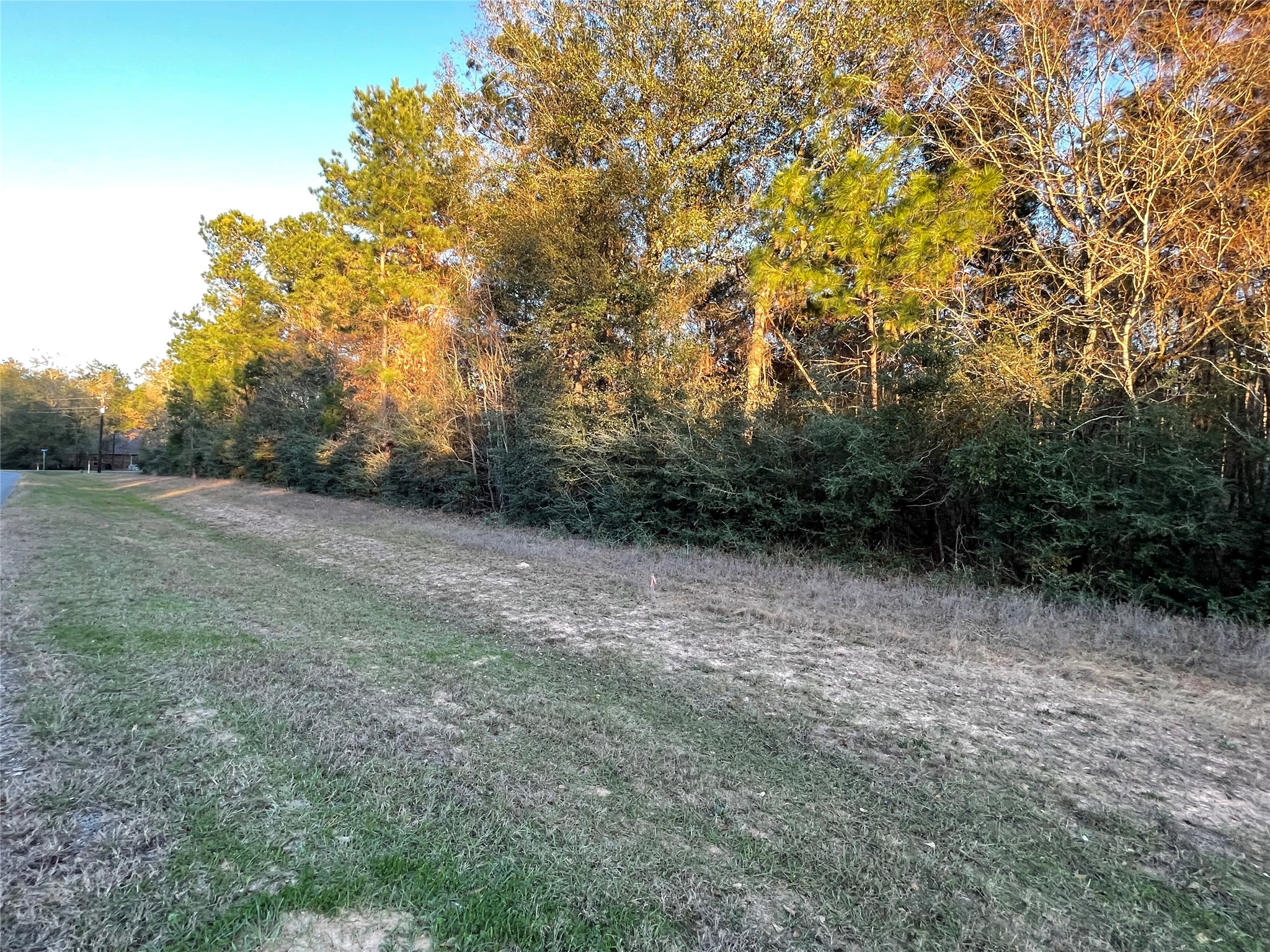 28921 Mustang Drive, Waller, TX 77484