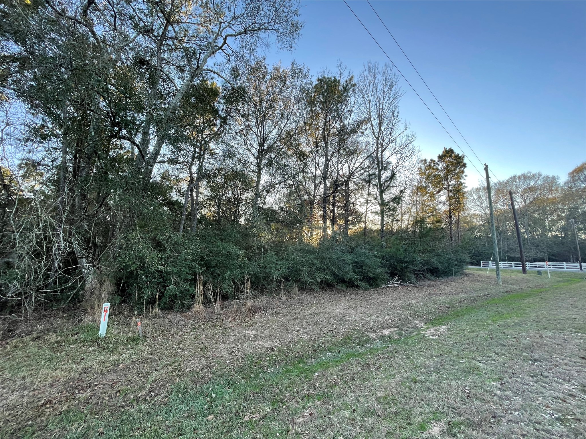 28921 Mustang Drive, Waller, TX 77484 28921 Mustang Drive, Waller, TX 77484