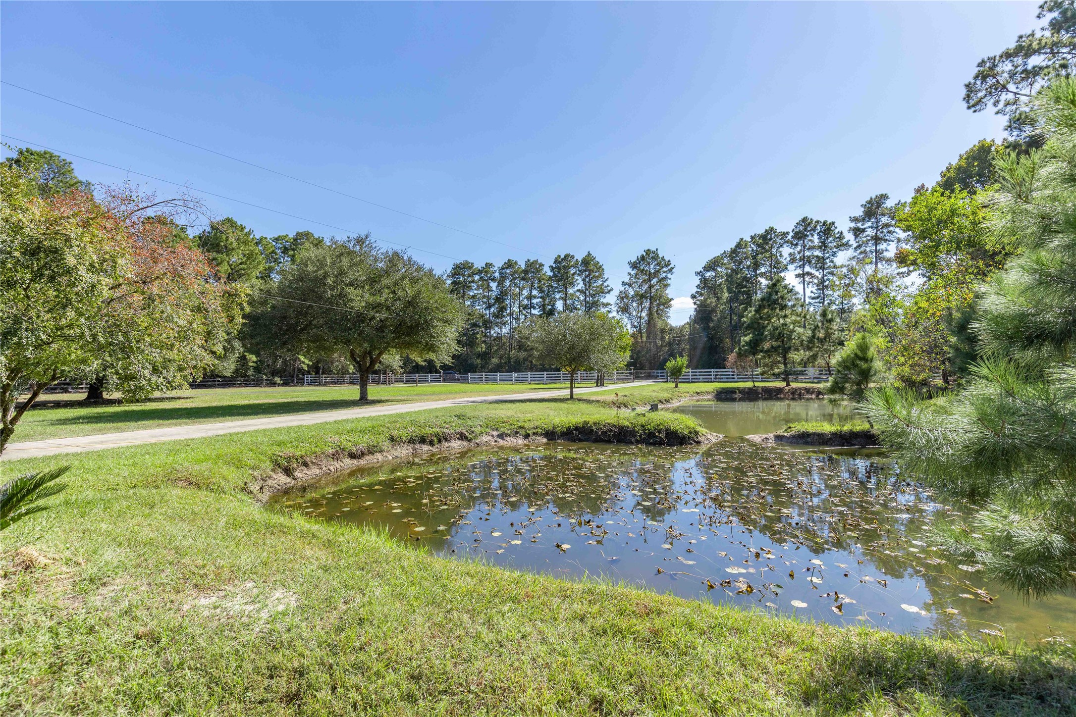 2 ponds on the left side of the property