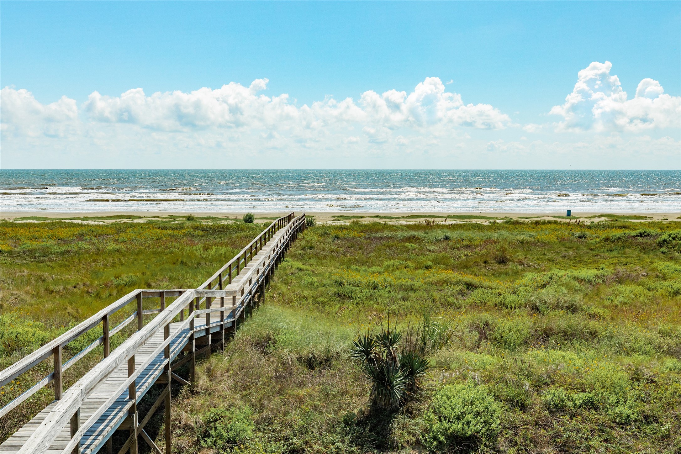 Shared dune walkover