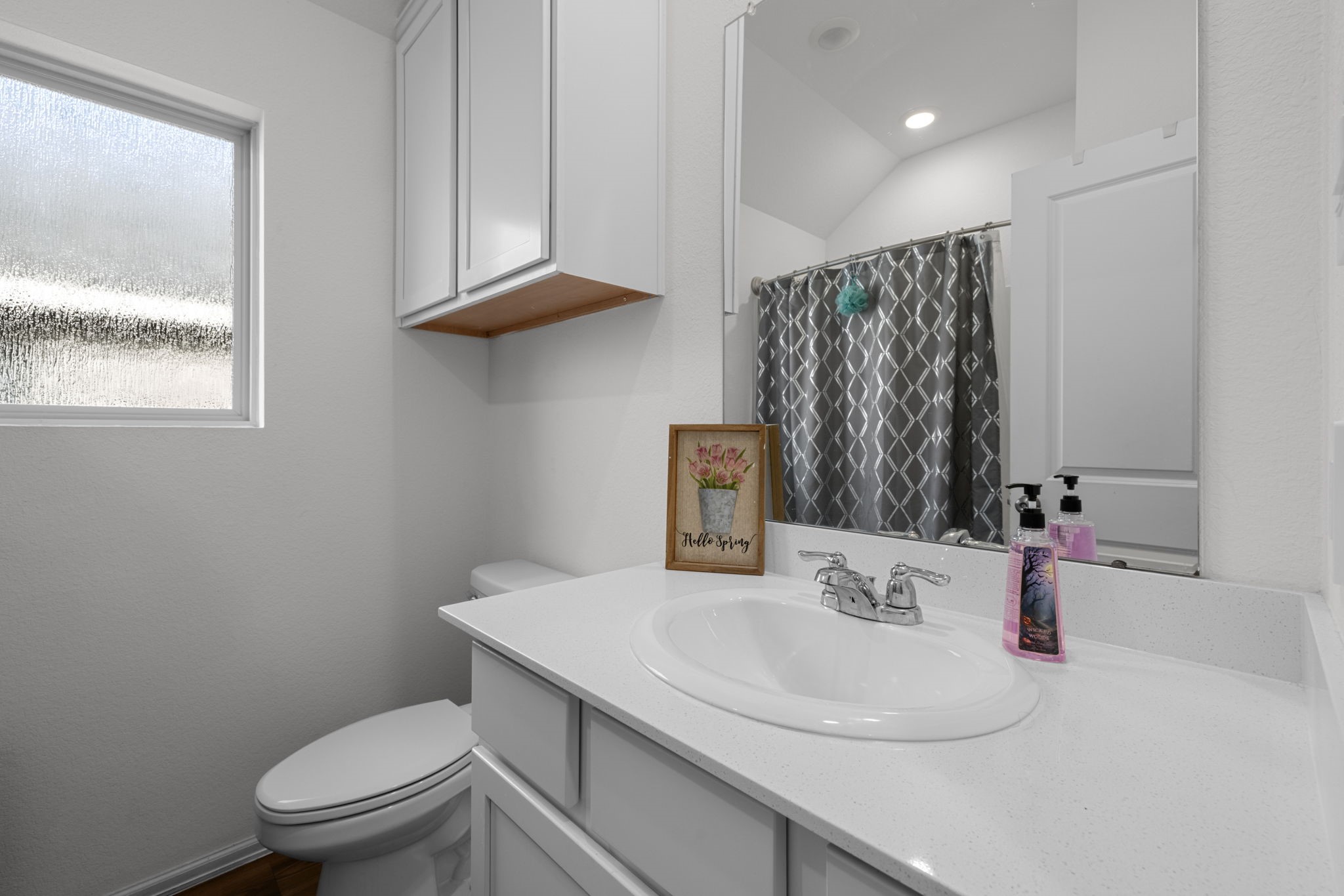 17342 Silver Birch Court, New Caney, TX 77357