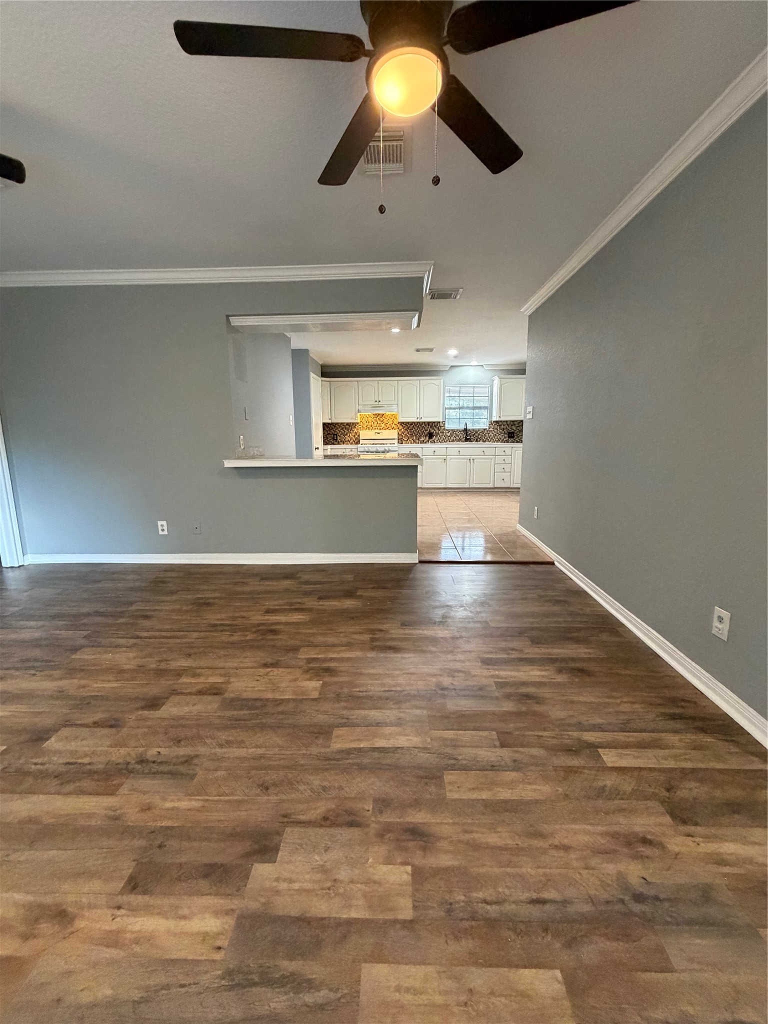 Living room open to kitchen.