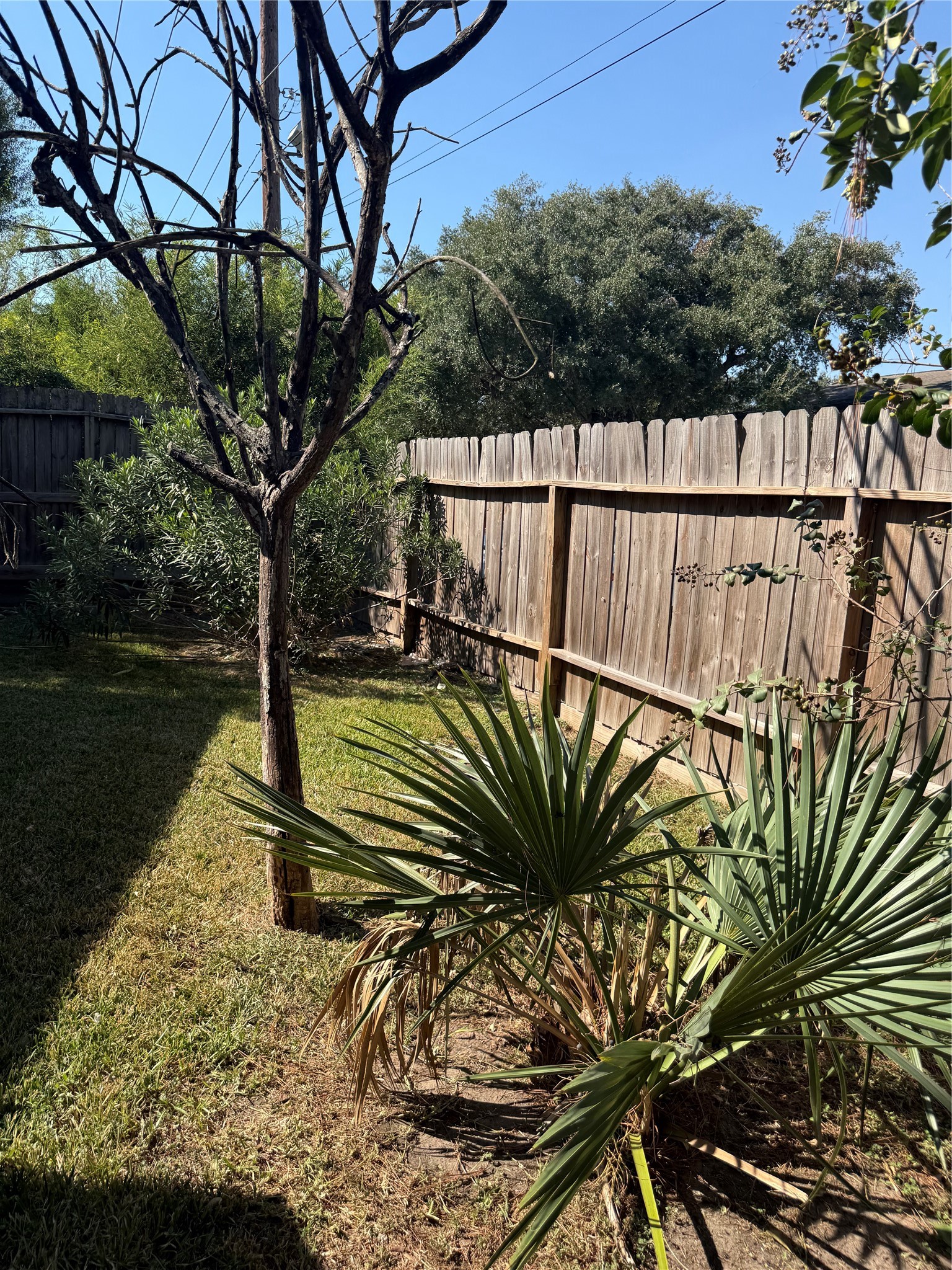 10818 Chevy Chase Drive, Houston, TX 77042