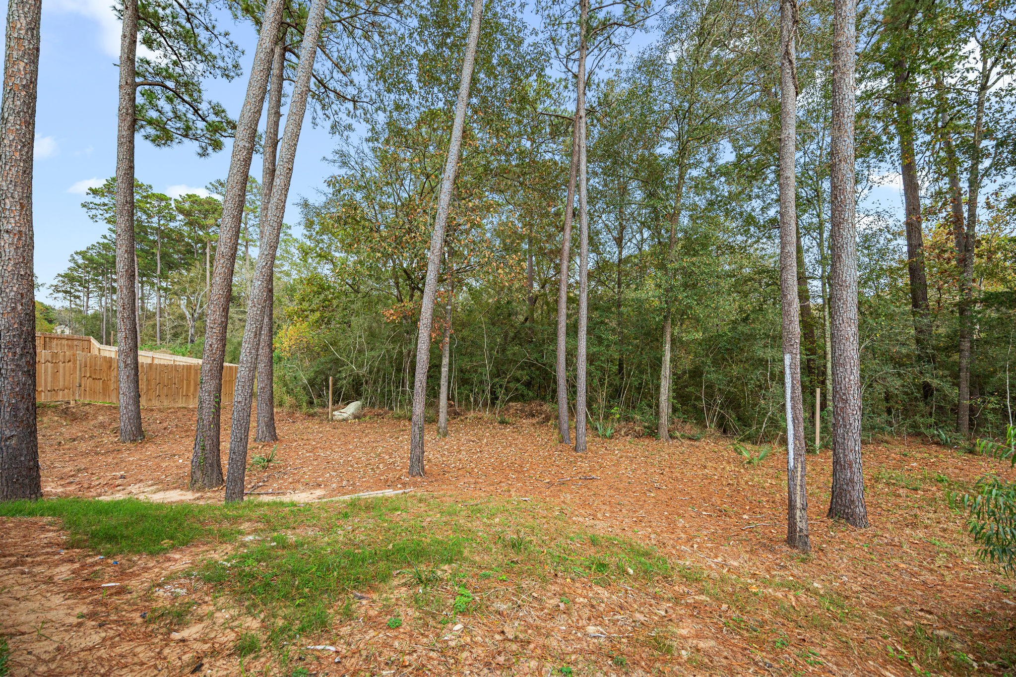 12161 LA SALLE RIVER RD, Conroe, TX 77304