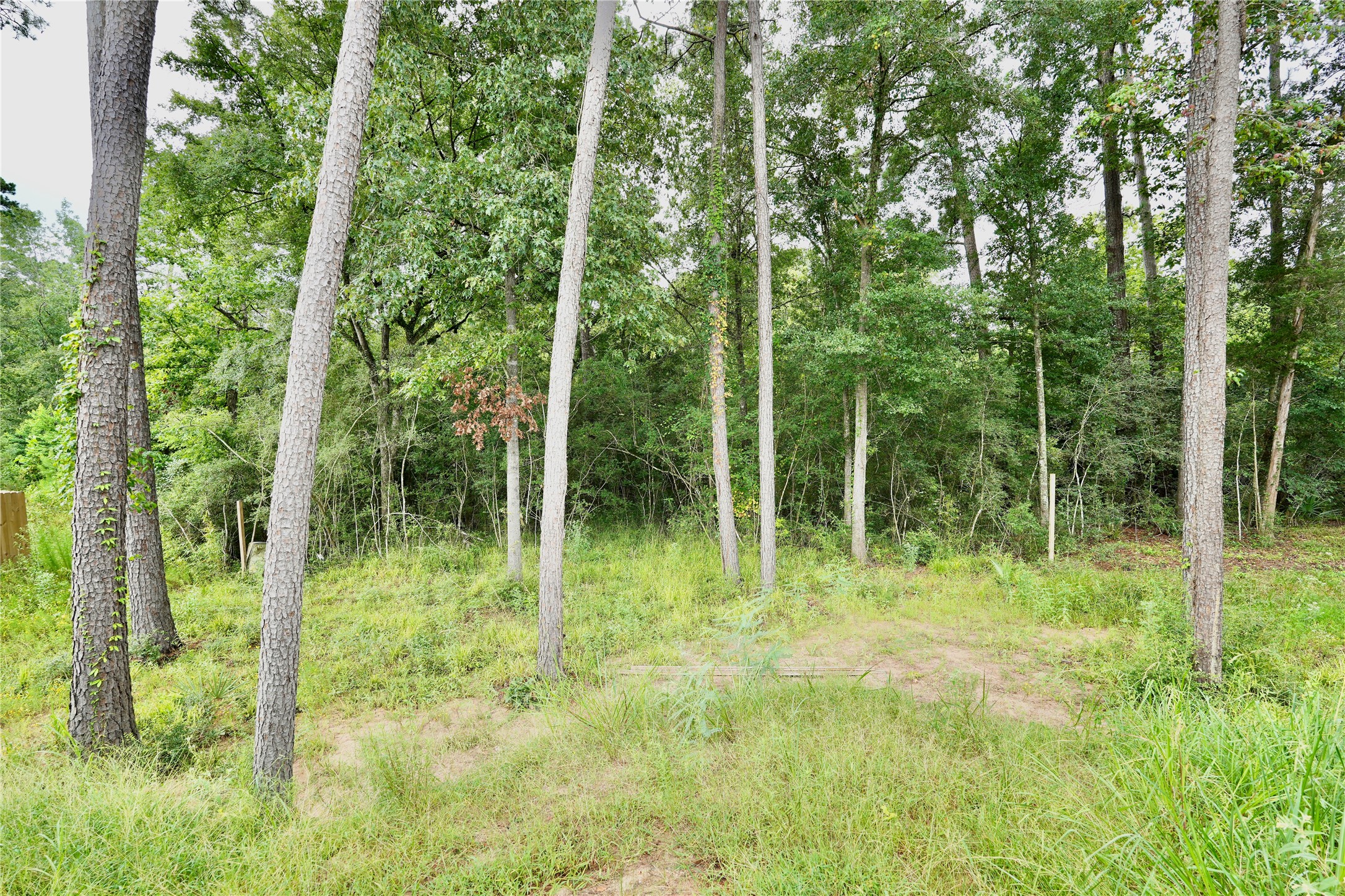 12161 LA SALLE RIVER RD, Conroe, TX 77304