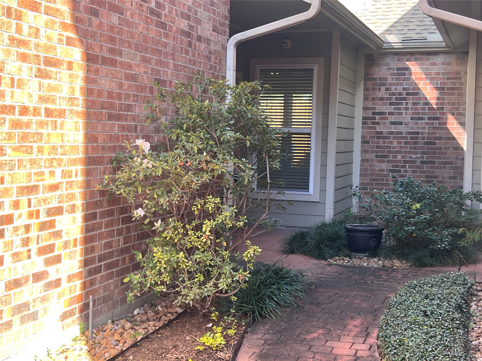 2710 N Sabine Street, #116, Houston, TX 77009