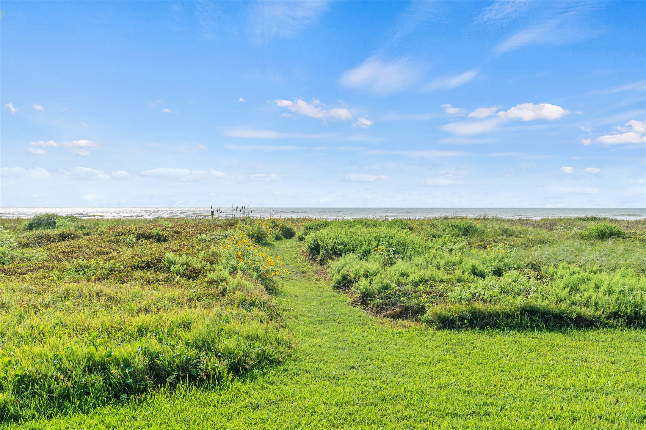 Expansive coastal view with dunes leading to the ocean, perfect for enjoying nature and tranquility.