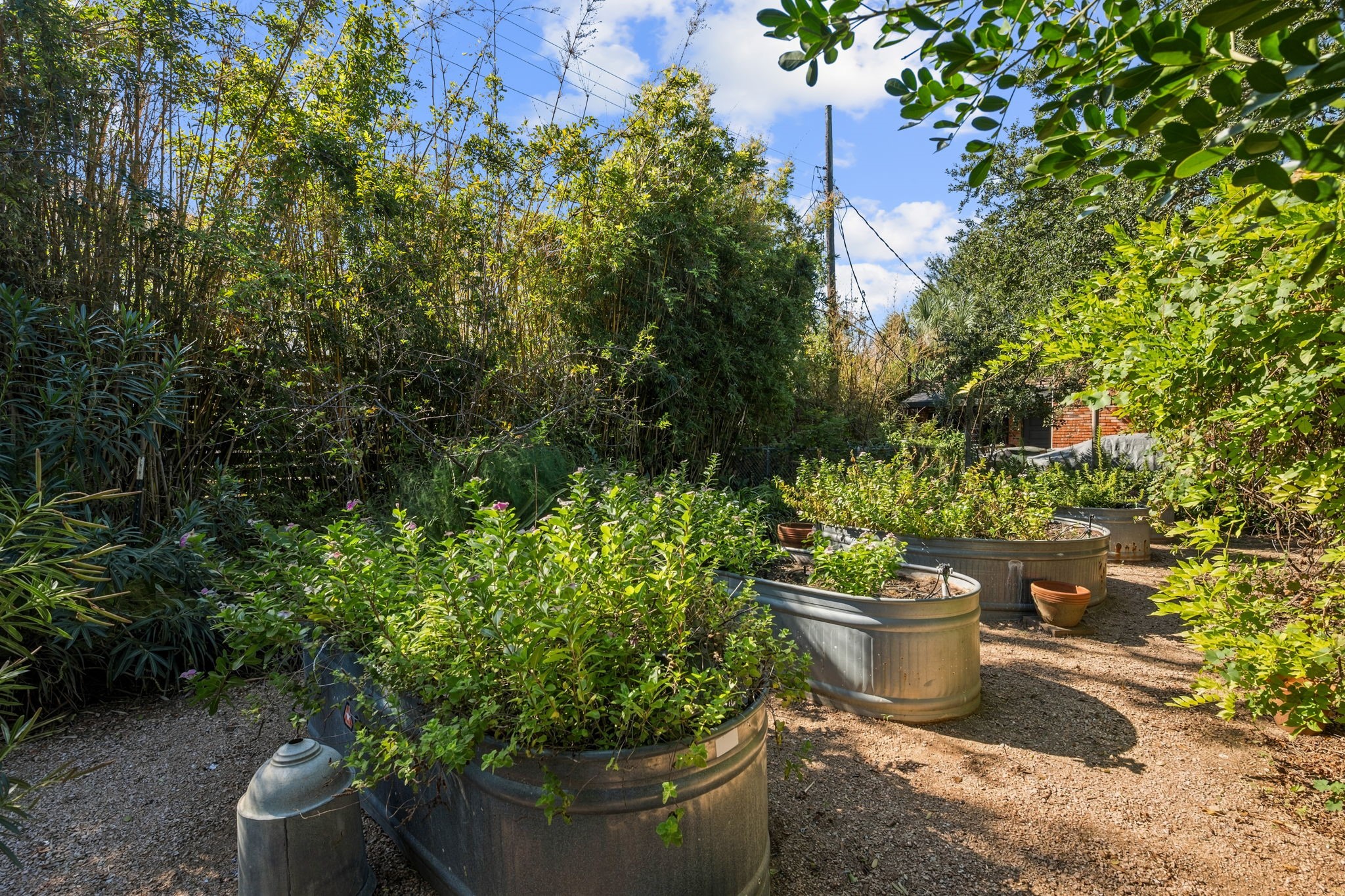 3815 Bernardo de Galvez Avenue, Galveston, TX 77550
