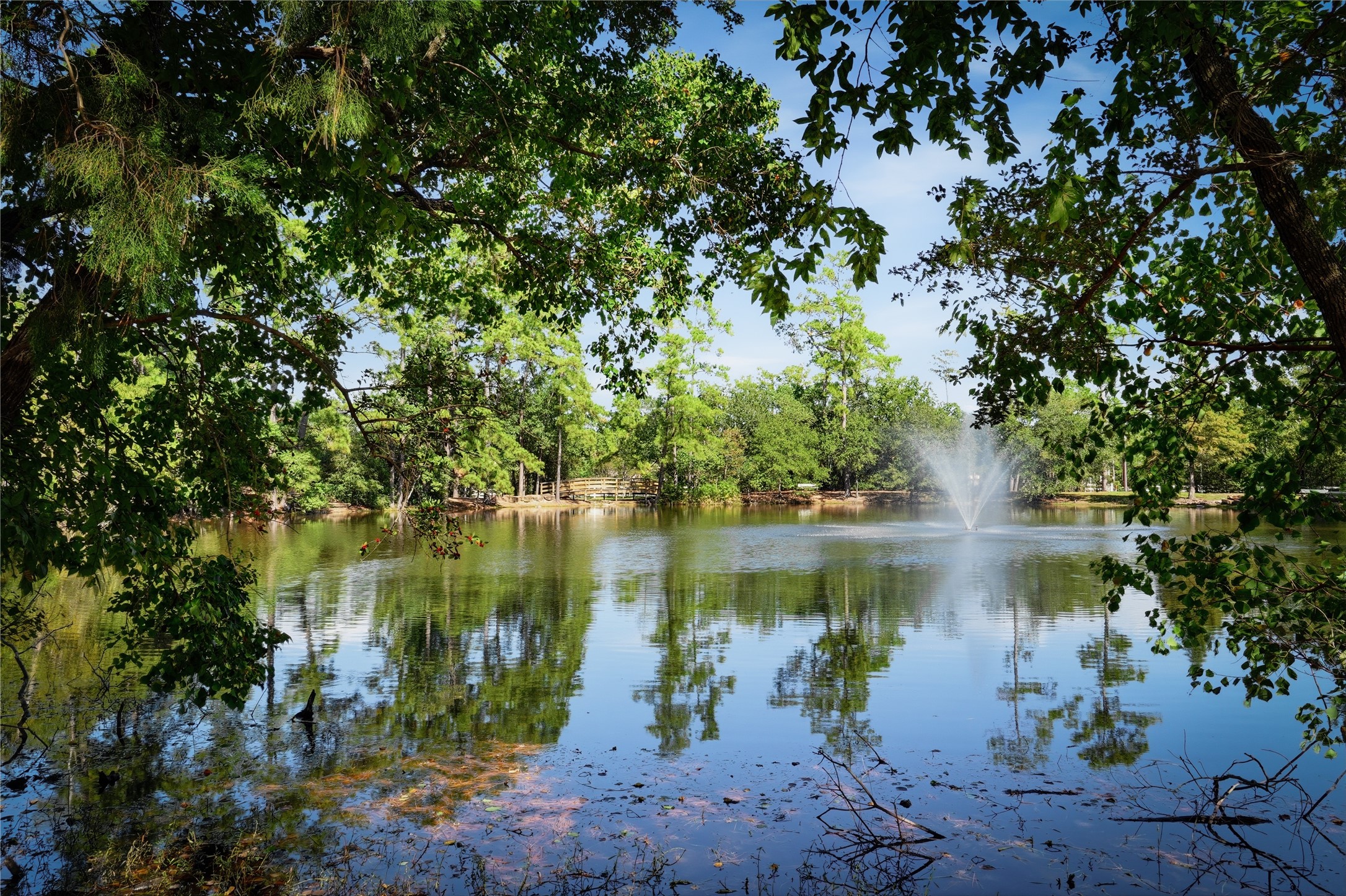 Pond located behind the house as a walking trail around it.