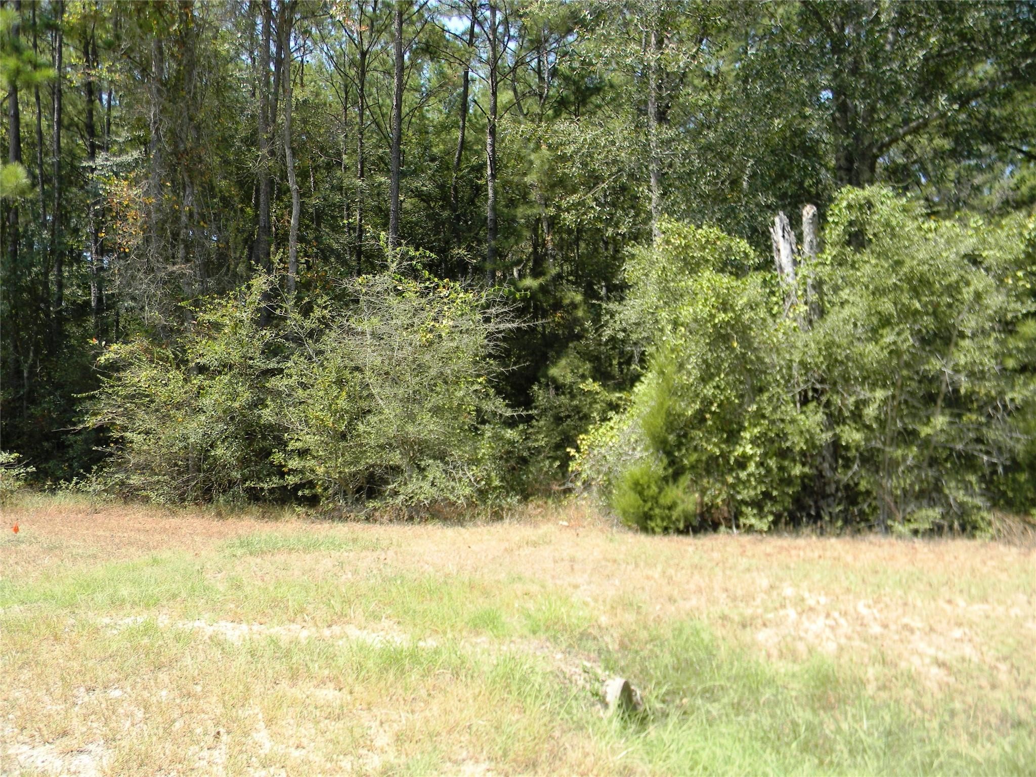 31643 Stone Bridge Parkway, Waller, TX 77484