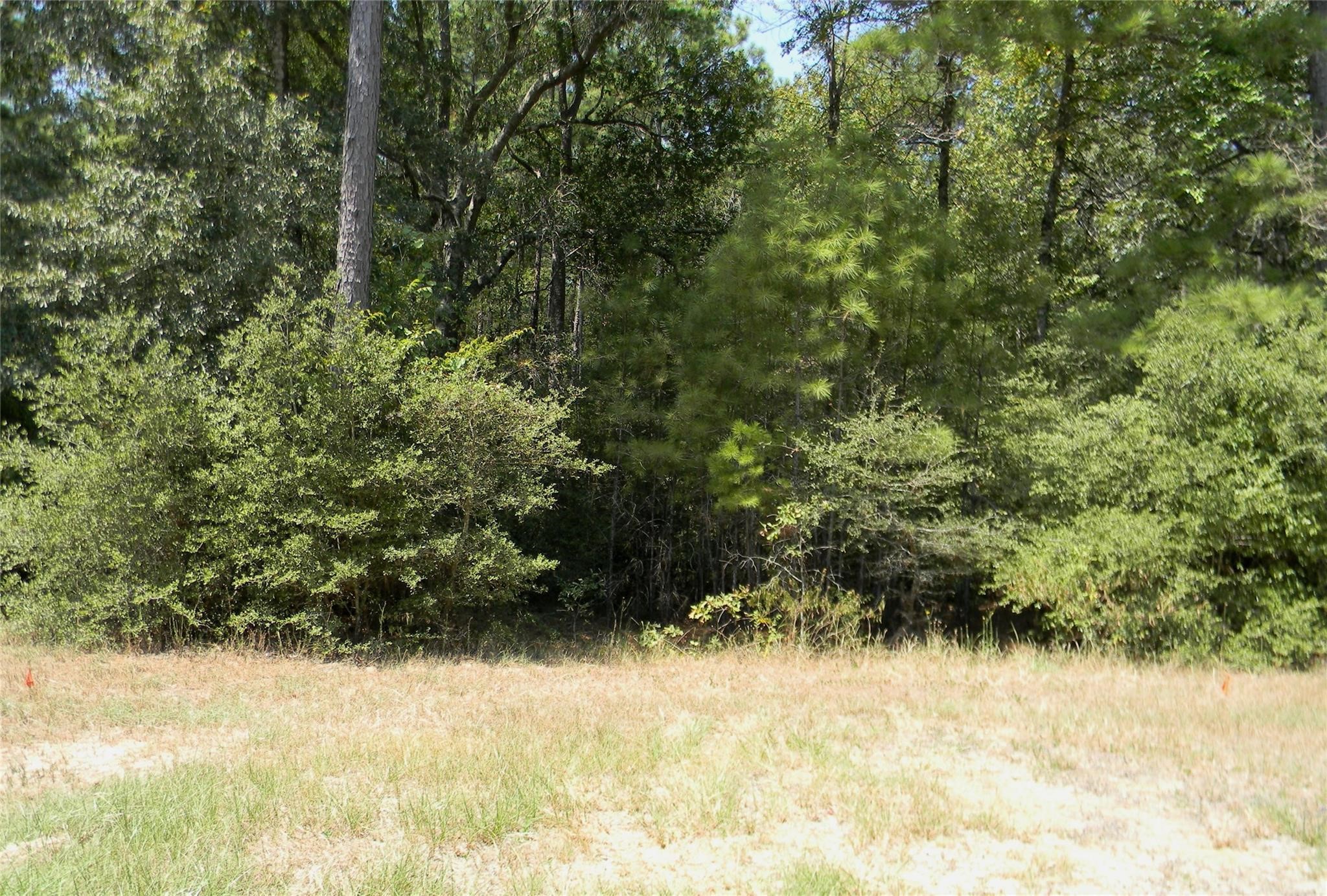 31643 Stone Bridge Parkway, Waller, TX 77484