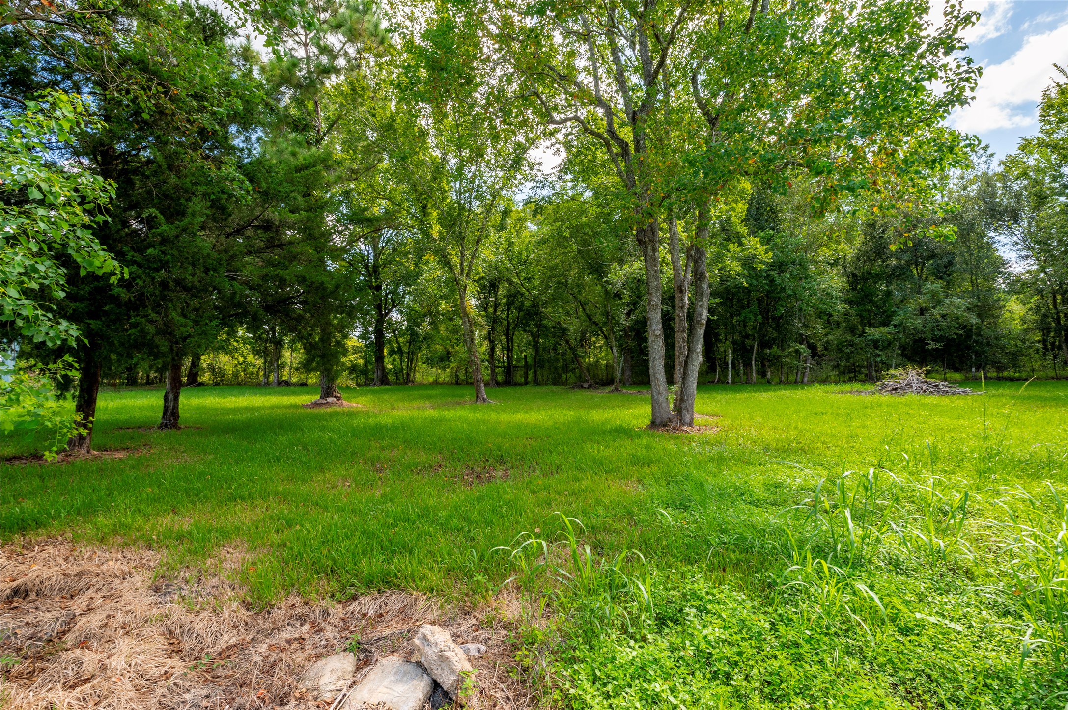 00 PARRISH, Santa Fe, TX 77510
